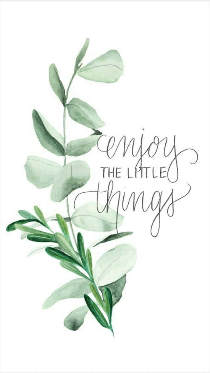 桉樹和迷迭香枝條，搭配優雅字體的短語 enjoy the little things。