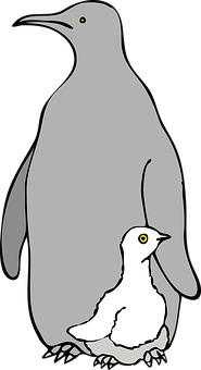 成年企鵝與雛鳥插圖 壁紙