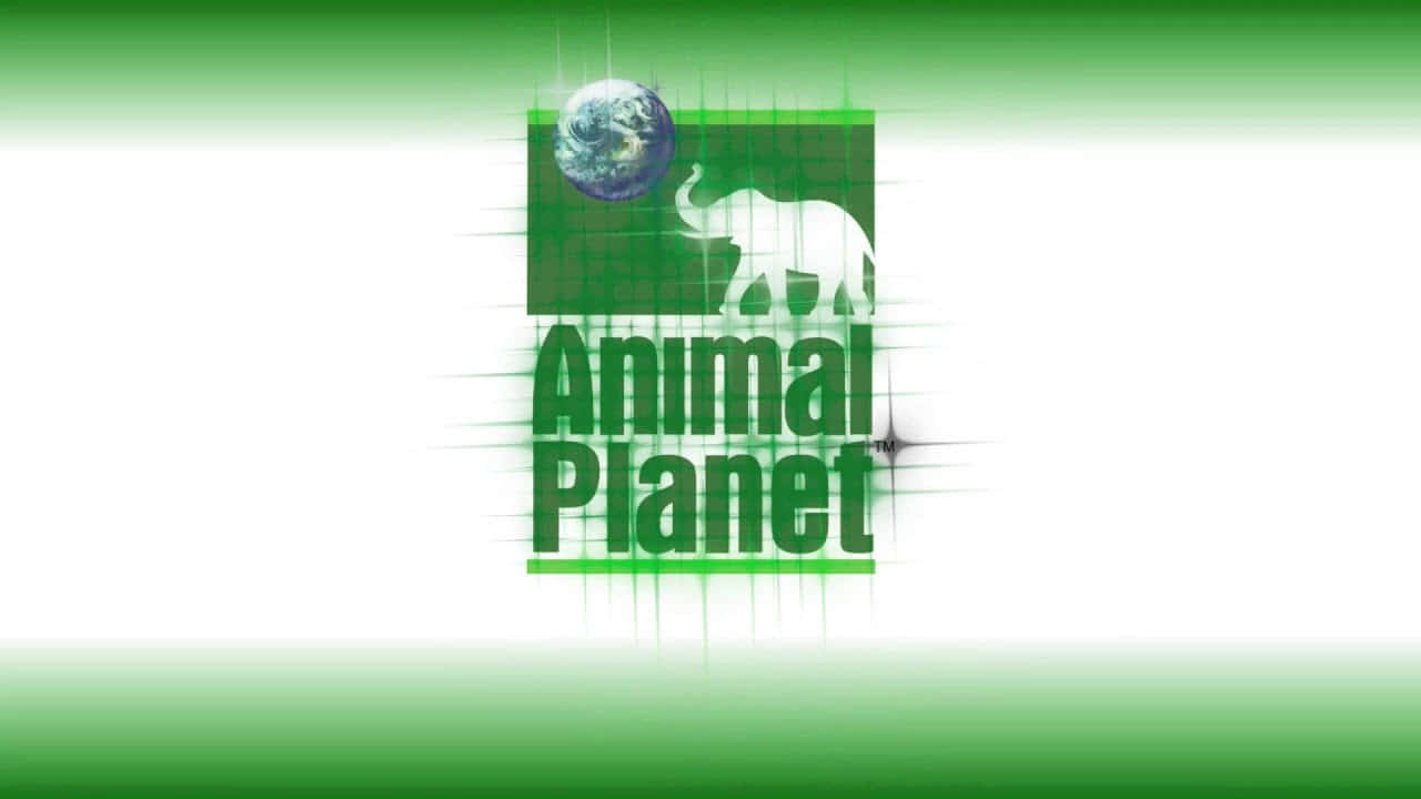 Animal Planet 標誌，白色大象和地球儀在綠色網格上。