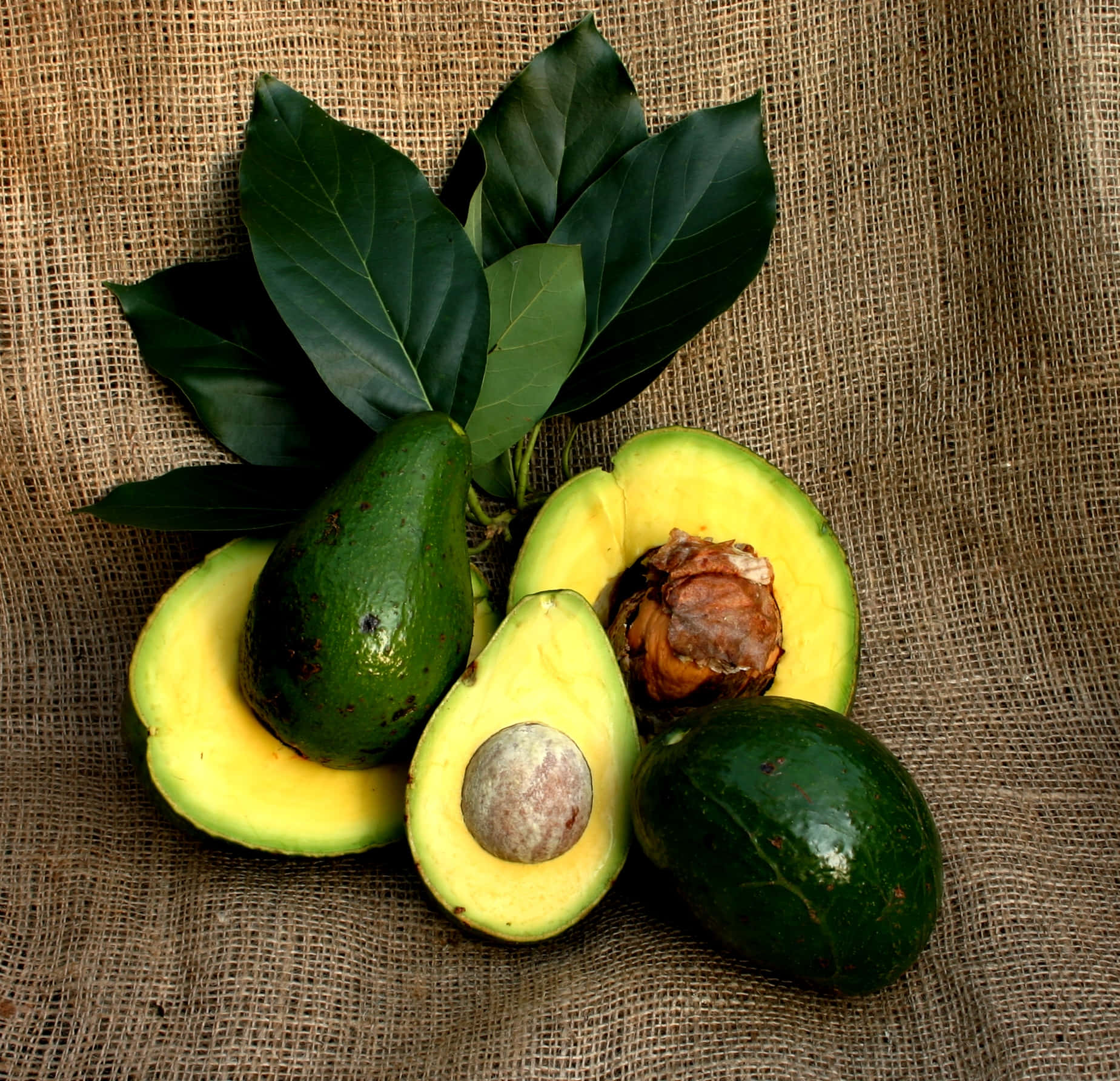 Avocado 桌布 壁紙 — 成熟的牛油果帶有鮮綠色外皮和奶油黃色果肉，放置在質感粗糙的麻布背景上。