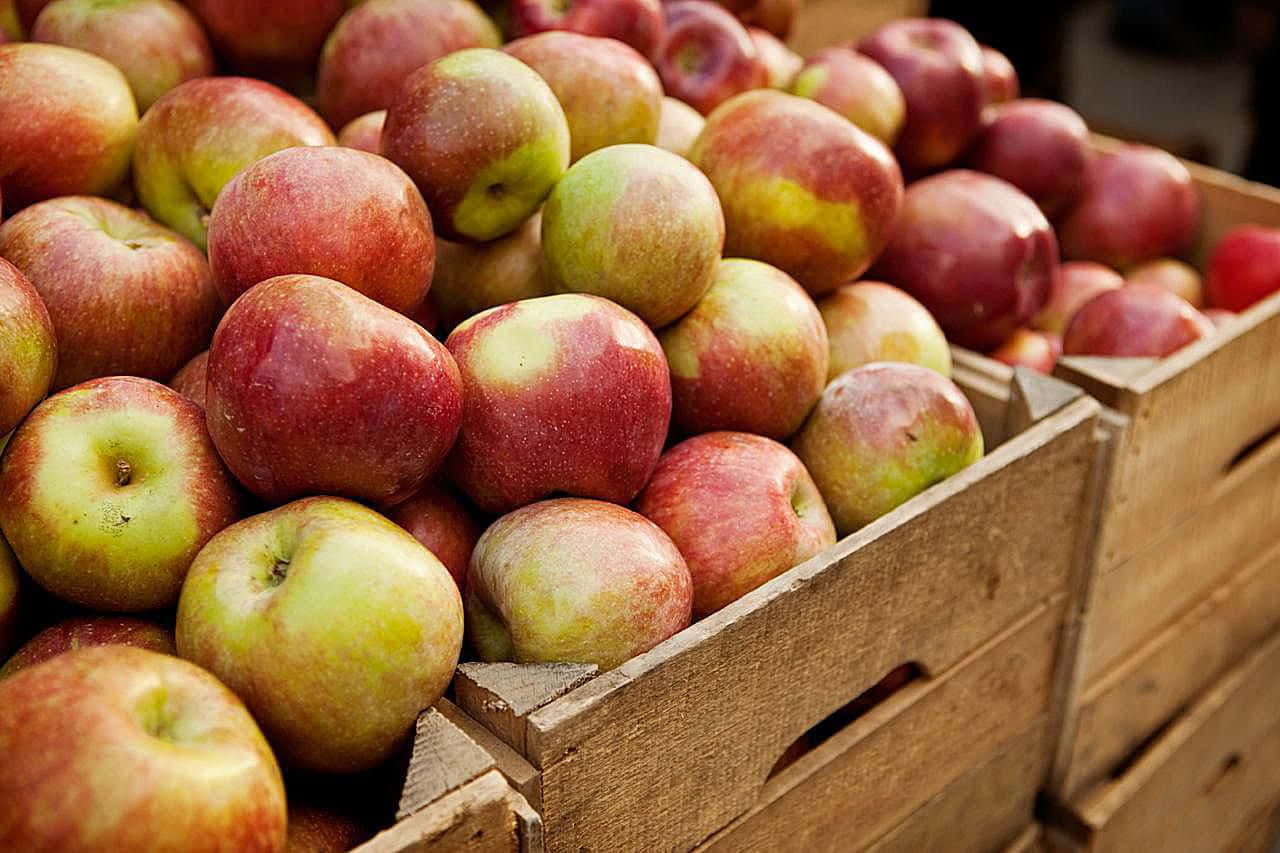 Fall Apples 桌布 壁紙 — 成熟的紅蘋果和青蘋果高高堆疊在磨損的木箱中，位於熙熙攘攘的市場攤位。
