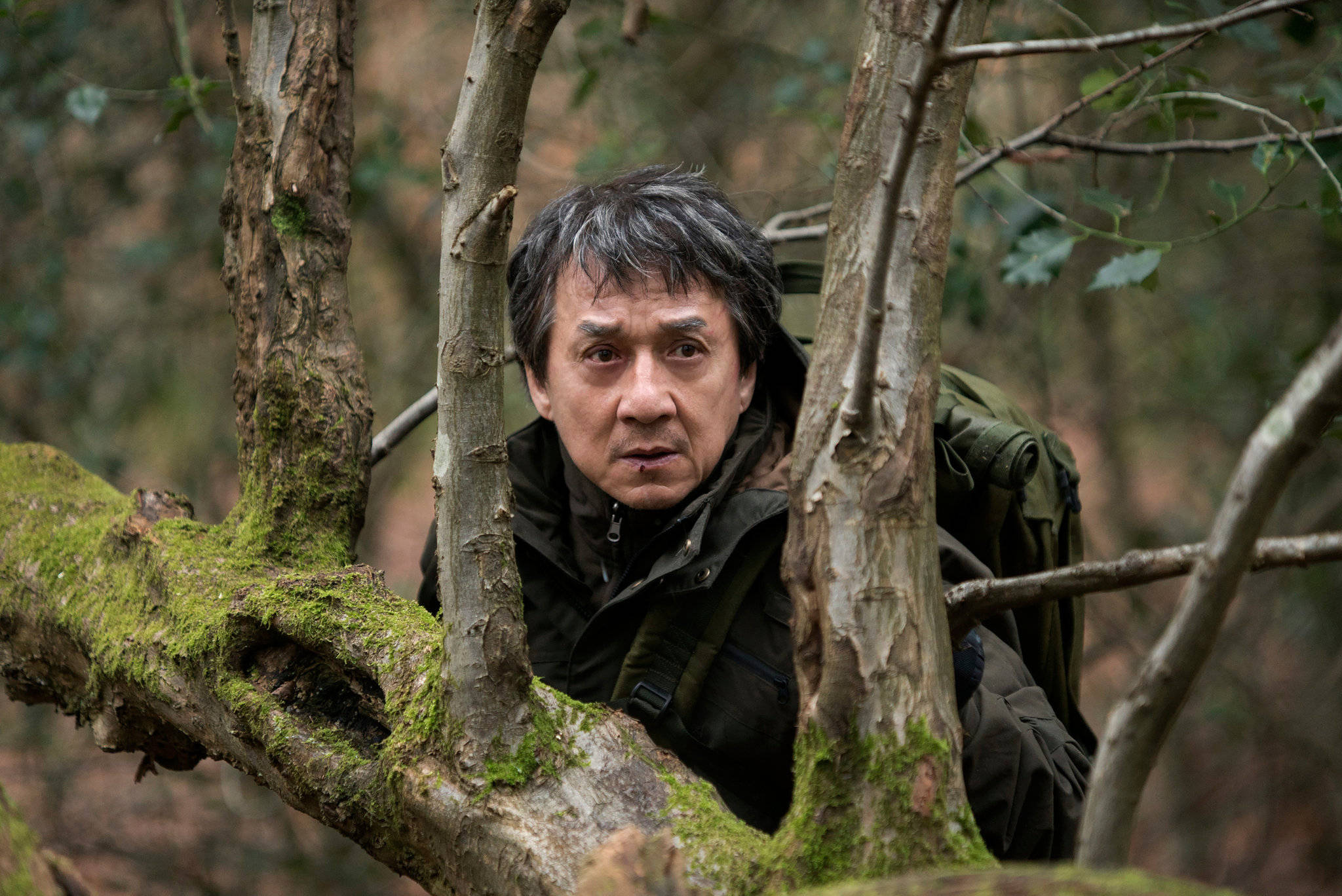 成龍在森林中 壁紙 — 演員成龍背著背包，透過長滿苔蘚的樹枝凝視著茂密的森林。
