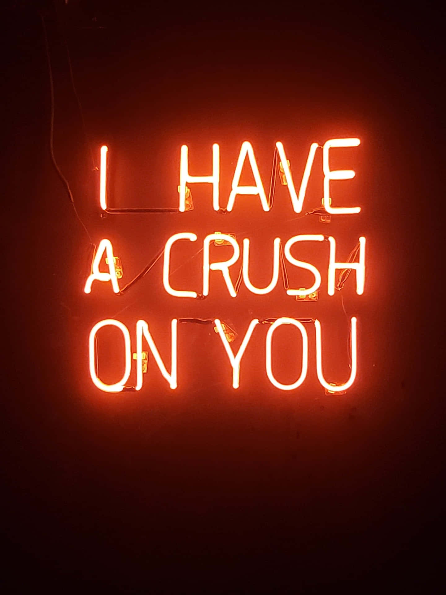 紅色燈光寫著 I have a crush on you 的霓虹燈牌。