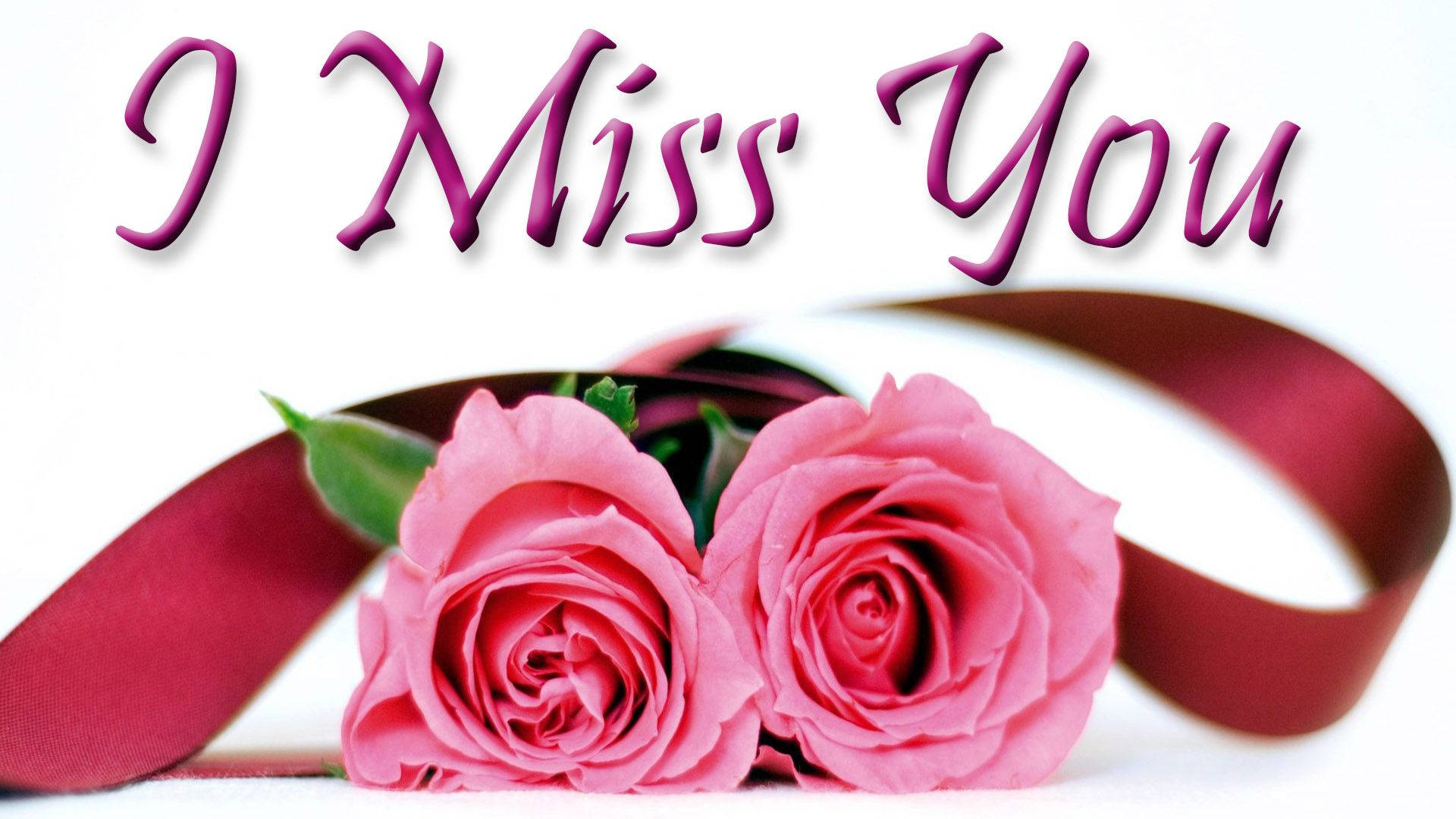 我好想你，玫瑰 壁紙 — 兩朵粉紅玫瑰，帶有紅色絲帶和紫色文字 I Miss You，背景為白色。