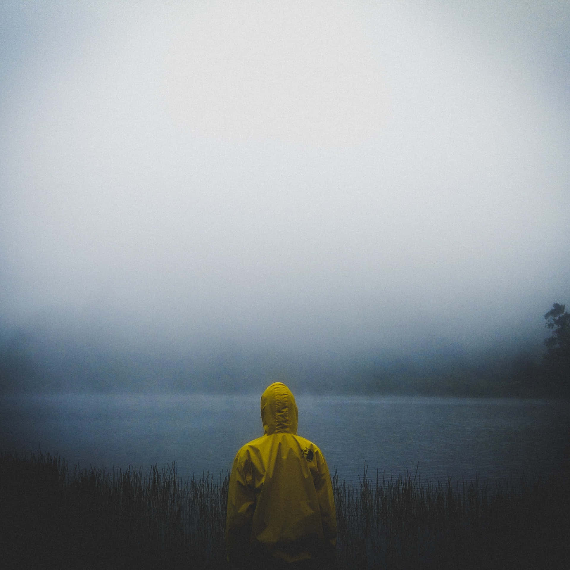 穿著黃色雨衣的人站在霧湖旁