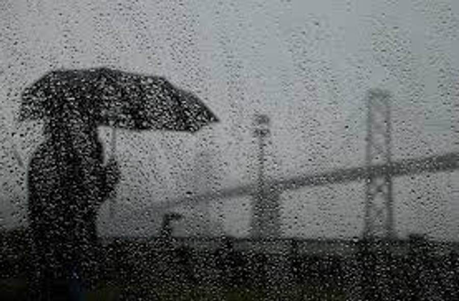 《我的世界》中的威嚴毀滅之風 壁紙 — 一個孤獨的身影撐著雨傘，站在雨水淋漓的窗前，眺望著霧氣瀰漫的橋樑，天色陰沉。