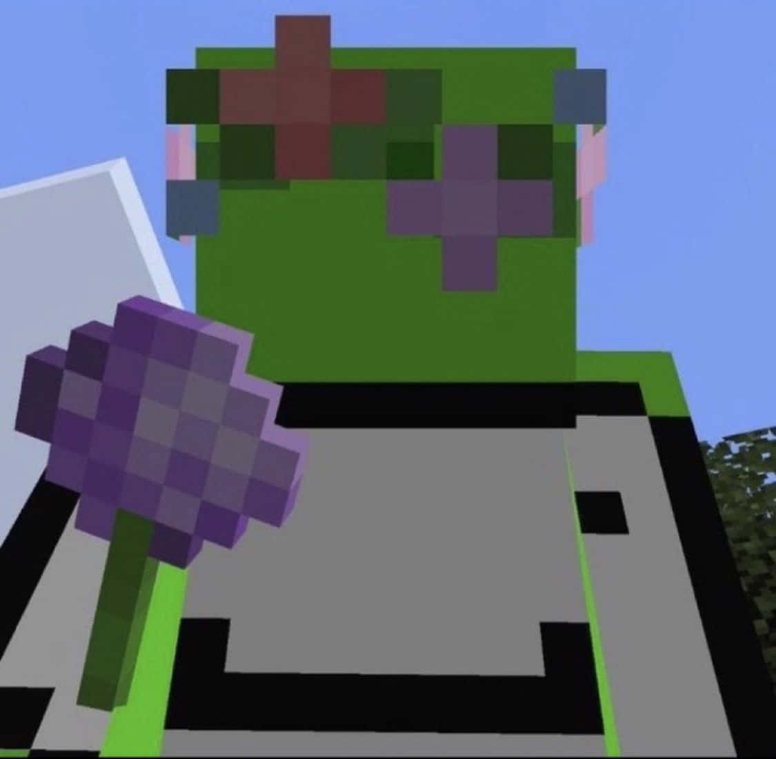 在Minecraft場景中，一隻方塊狀的綠色青蛙拿著一朵紫色花。