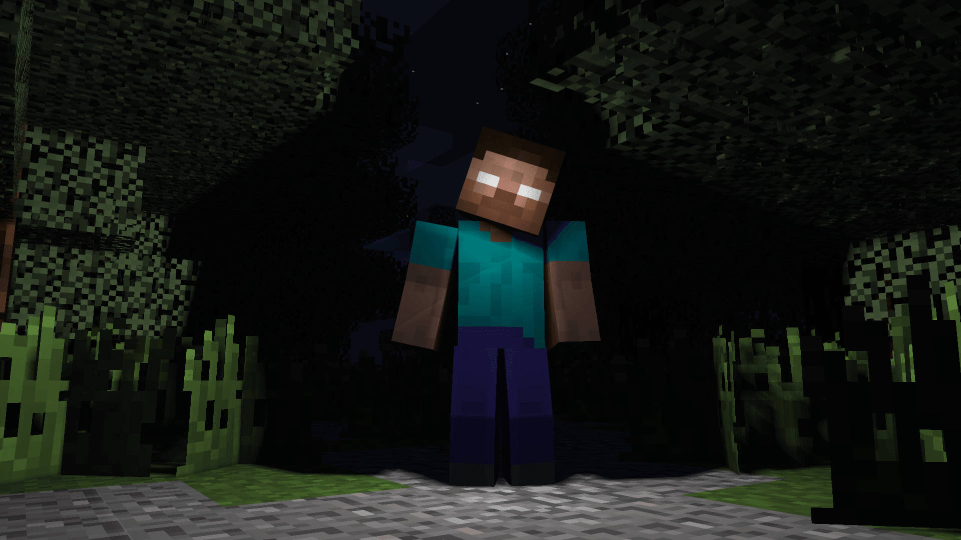 Minecraft角色在夜晚的森林中站在星空下
