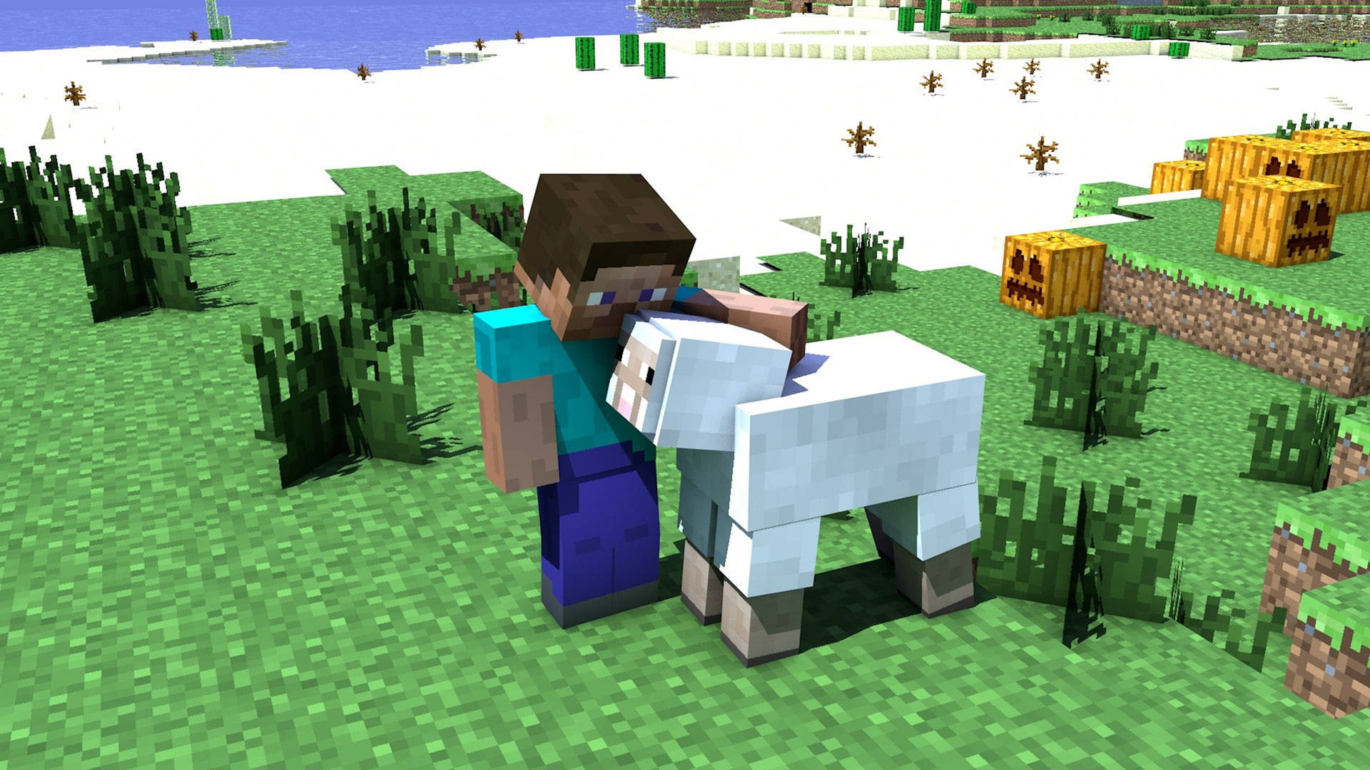 Minecraft 玩家在一個有南瓜和水的草地上擁抱一隻羊。