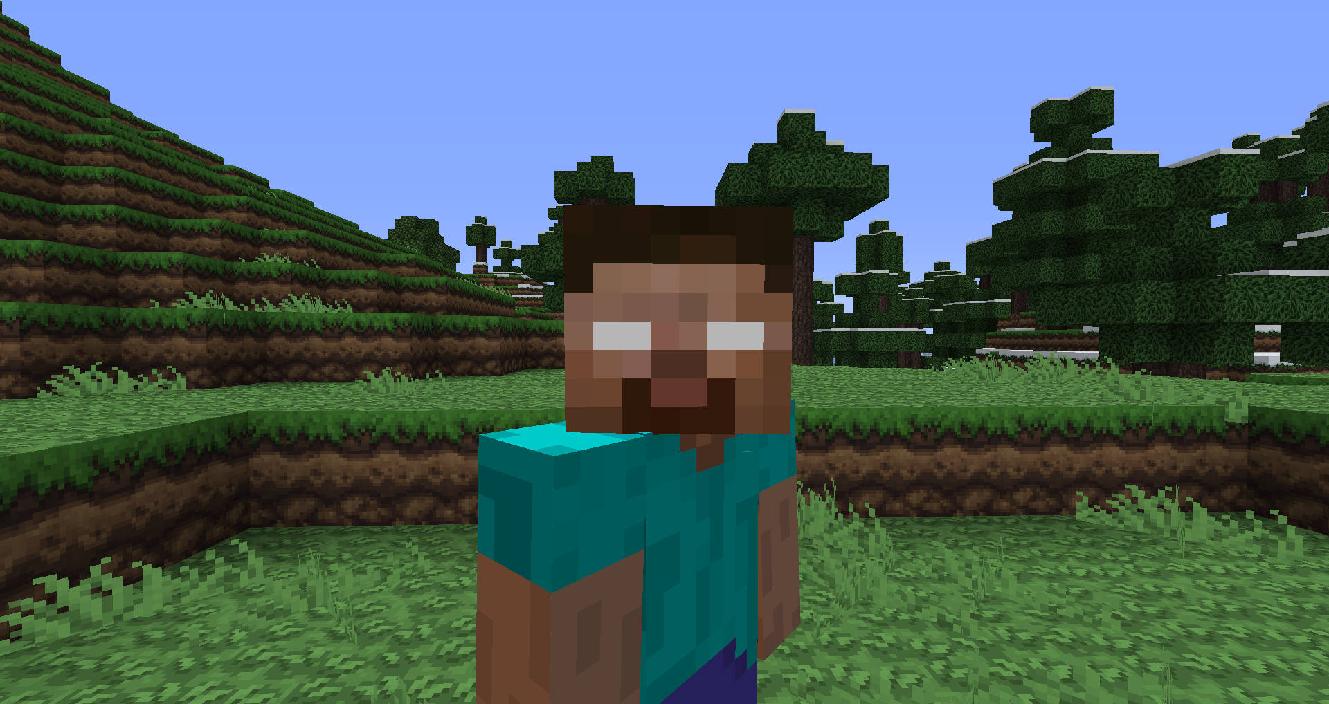 Minecraft角色在草地方塊景觀中，有樹木和山丘。