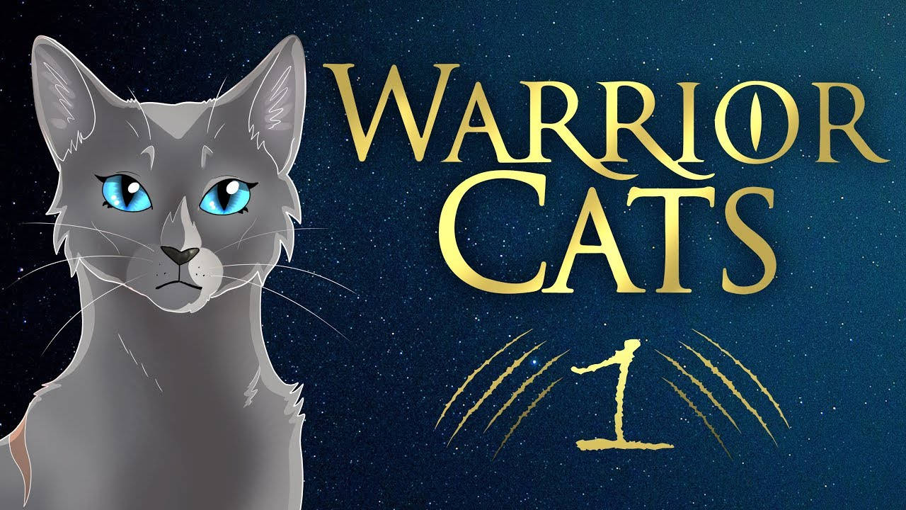 灰色貓咪，藍色眼睛，在繁星夜空背景下，帶有「Warrior Cats」標題。