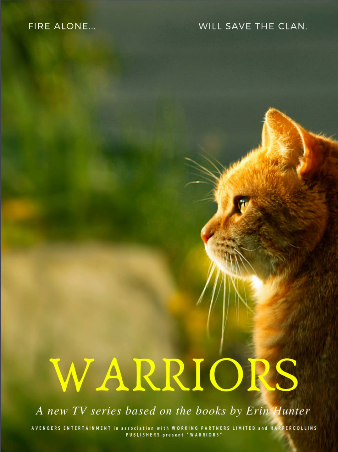 側面的薑貓，綠色背景，帶有「WARRIORS」文字。