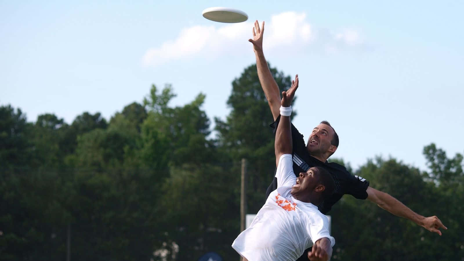 戰鬥中的 Ultimate Frisbee 背景 壁紙 — 兩名運動員在激烈的比賽中跳躍並向上伸展，試圖抓住飛行的飛盤，背景是綠樹和藍天。