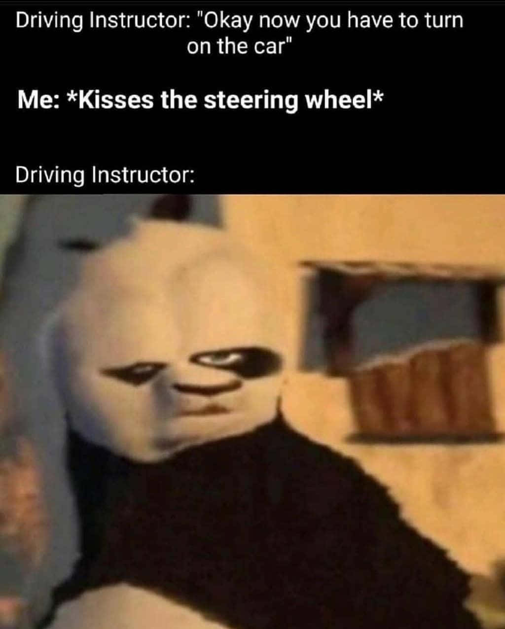 戰鬥機版功夫熊貓 Dank Memes 圖片 壁紙 — 一隻熊貓面無表情地回應有人親吻方向盤的迷因圖片。