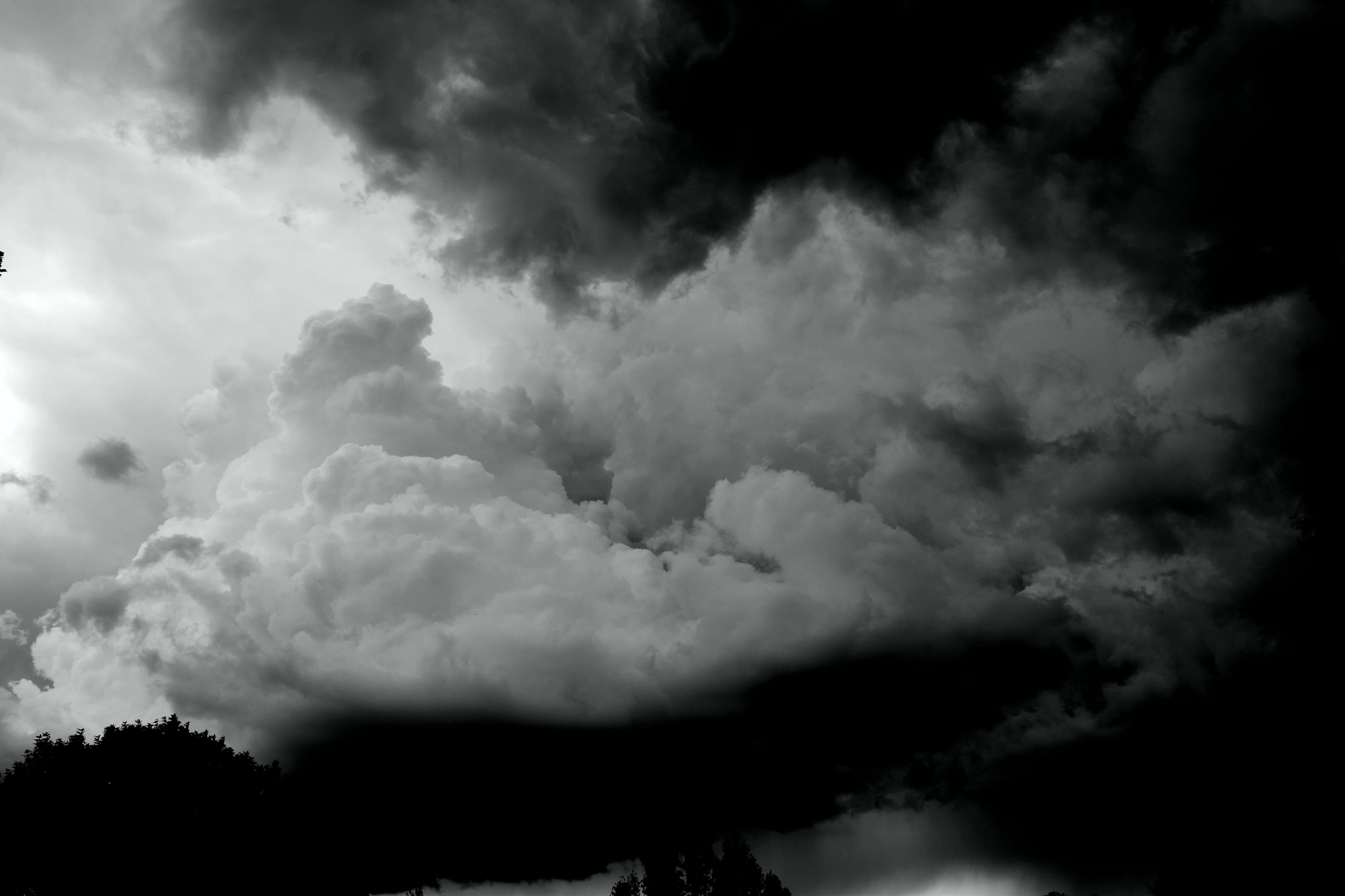 Dark Heaven 桌布 壁紙 — 戲劇性的單色雲層在暴風雨的天空下籠罩著黑暗的樹線。