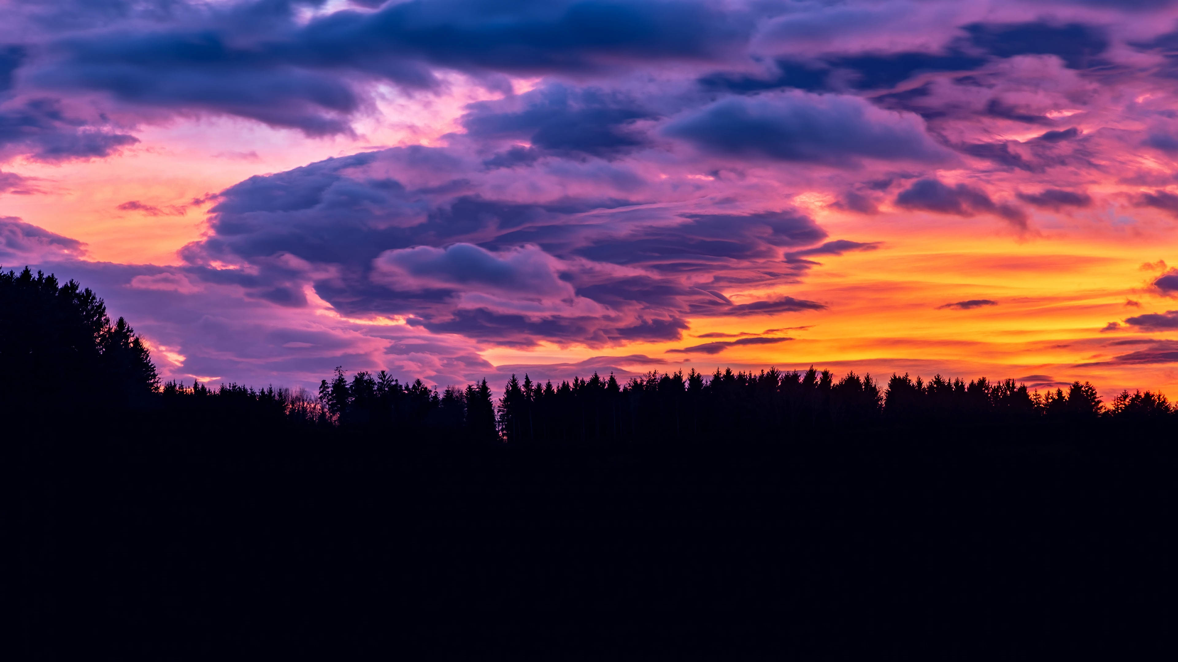 Cloud Aesthetic 桌布 壁紙 — 戲劇性的日落將雲彩染成火橙色和深紫色，映襯著黑暗的森林輪廓。