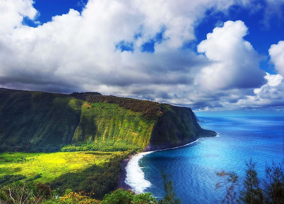 Hawaiian Island 桌布 壁紙 — 戲劇性的海岸懸崖，翠綠的山丘與碧綠的海洋在充滿活力的藍天和蓬鬆的白雲下相遇。