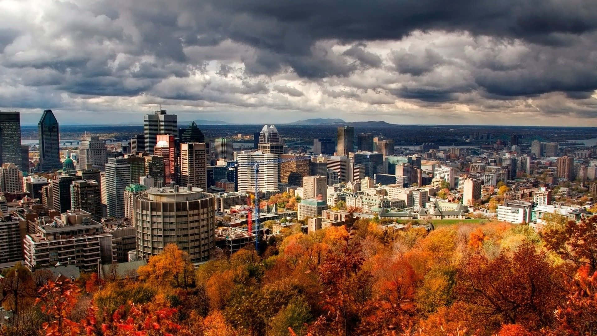 Fall Town 桌布 壁紙 — 戲劇性的秋日城市景觀，前景是火紅的樹葉，摩天大樓上空烏雲密佈。