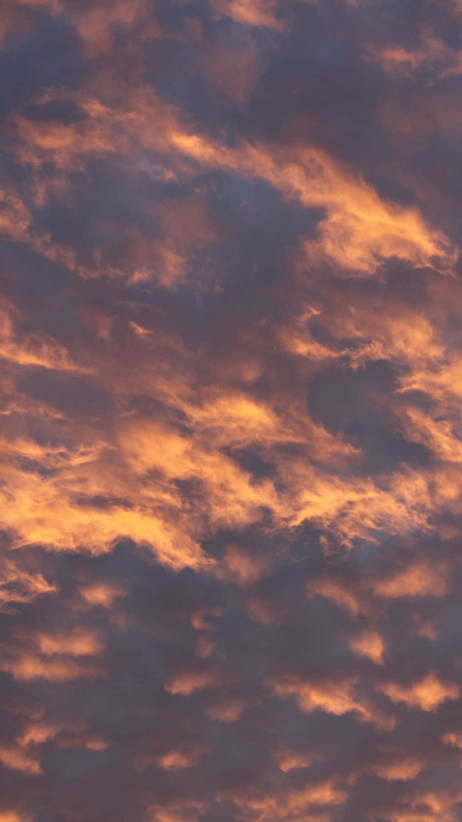 Yellow Sky 桌布 壁紙 — 戲劇性的雲層帶有火熱橙色光芒，映襯深紫色暮色天空。
