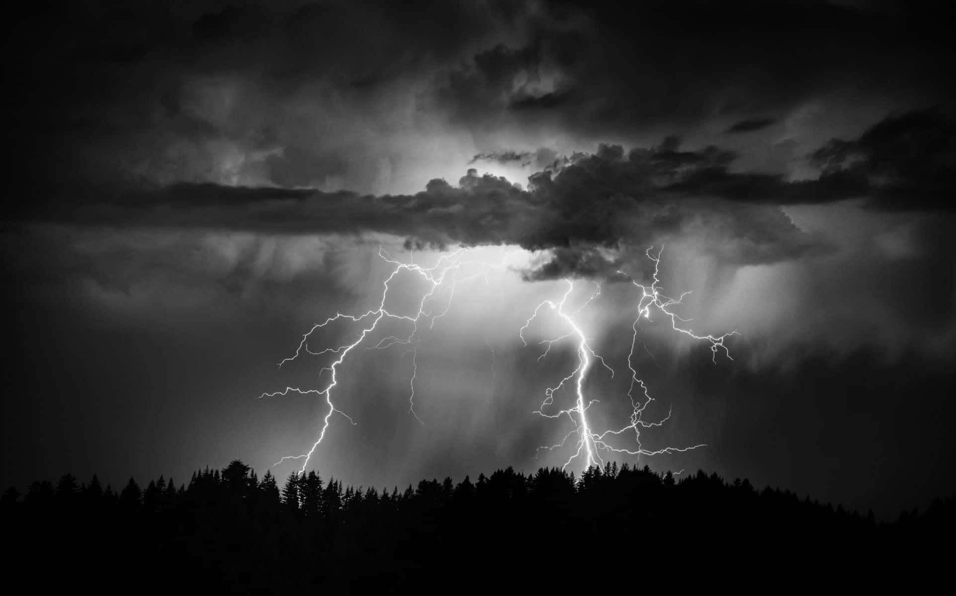 Black And White Storm 桌布 壁紙 — 戲劇性的黑白閃電照亮了黑暗森林輪廓上方的暴風雨天空。
