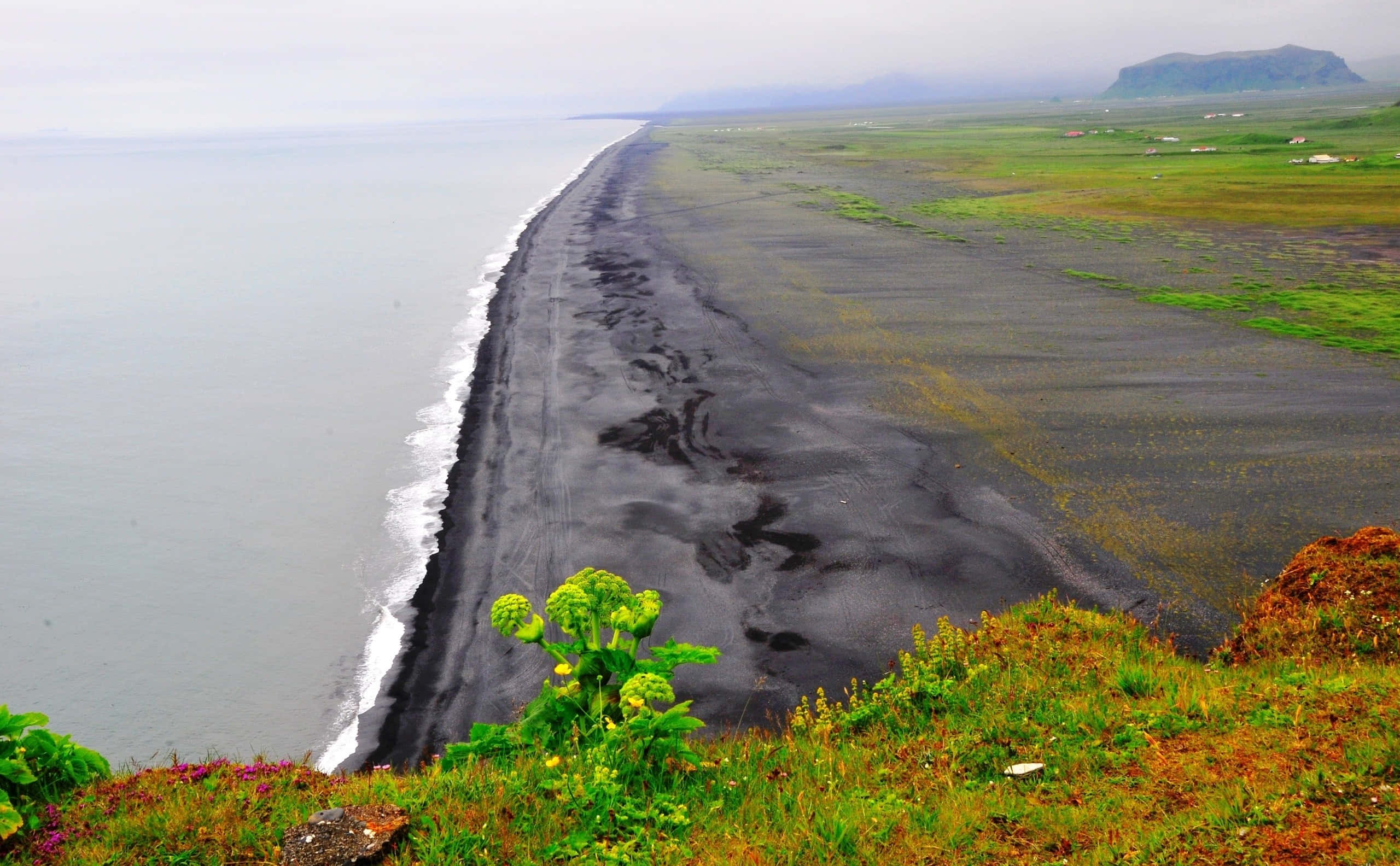 Black Sand Beach 桌布 壁紙 — 戲劇性的黑色沙灘沿著霧氣瀰漫的海岸線延伸，綠色的田野和遠處的山丘在陰天之下。