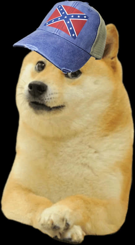 戴南方邦聯帽的柴犬 壁紙 — 一隻柴犬戴著帶有邦聯旗幟補丁的藍色帽子，在黑色背景下以困惑的表情凝視。