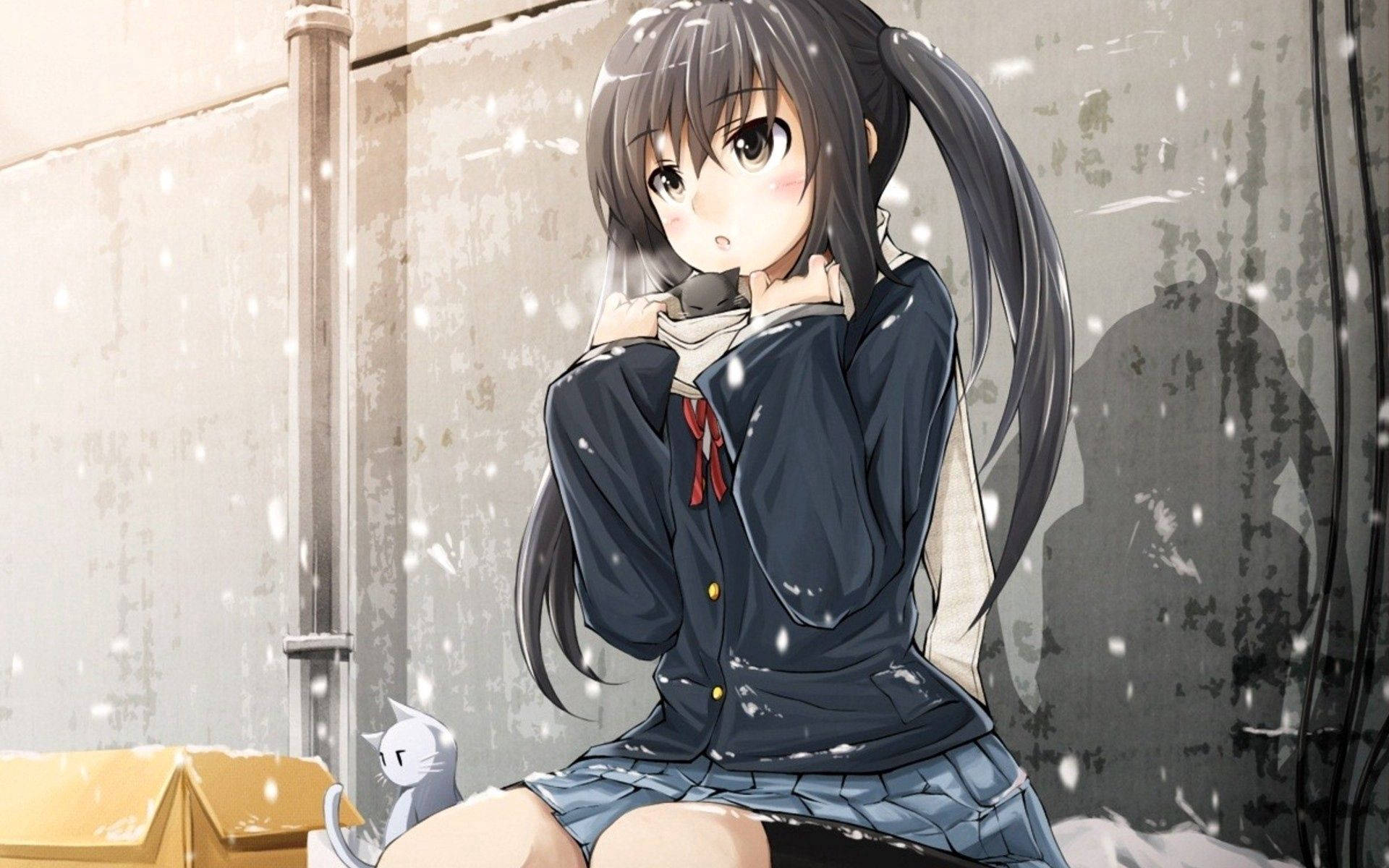 動漫女孩穿著校服，在雪天裡對著混凝土牆擁抱貓咪。