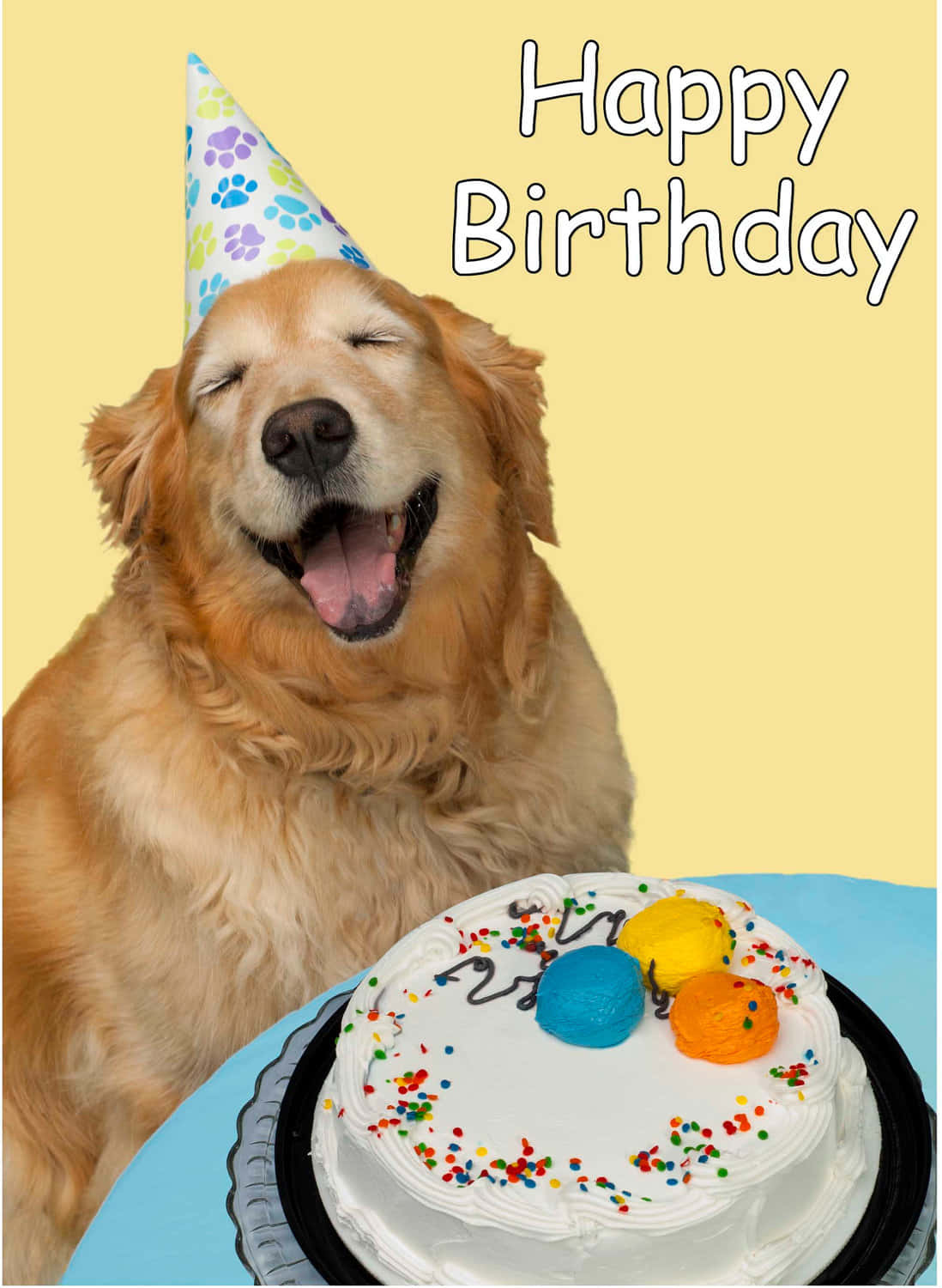 戴著派對帽的幸福金毛尋回犬與蛋糕一起慶祝生日