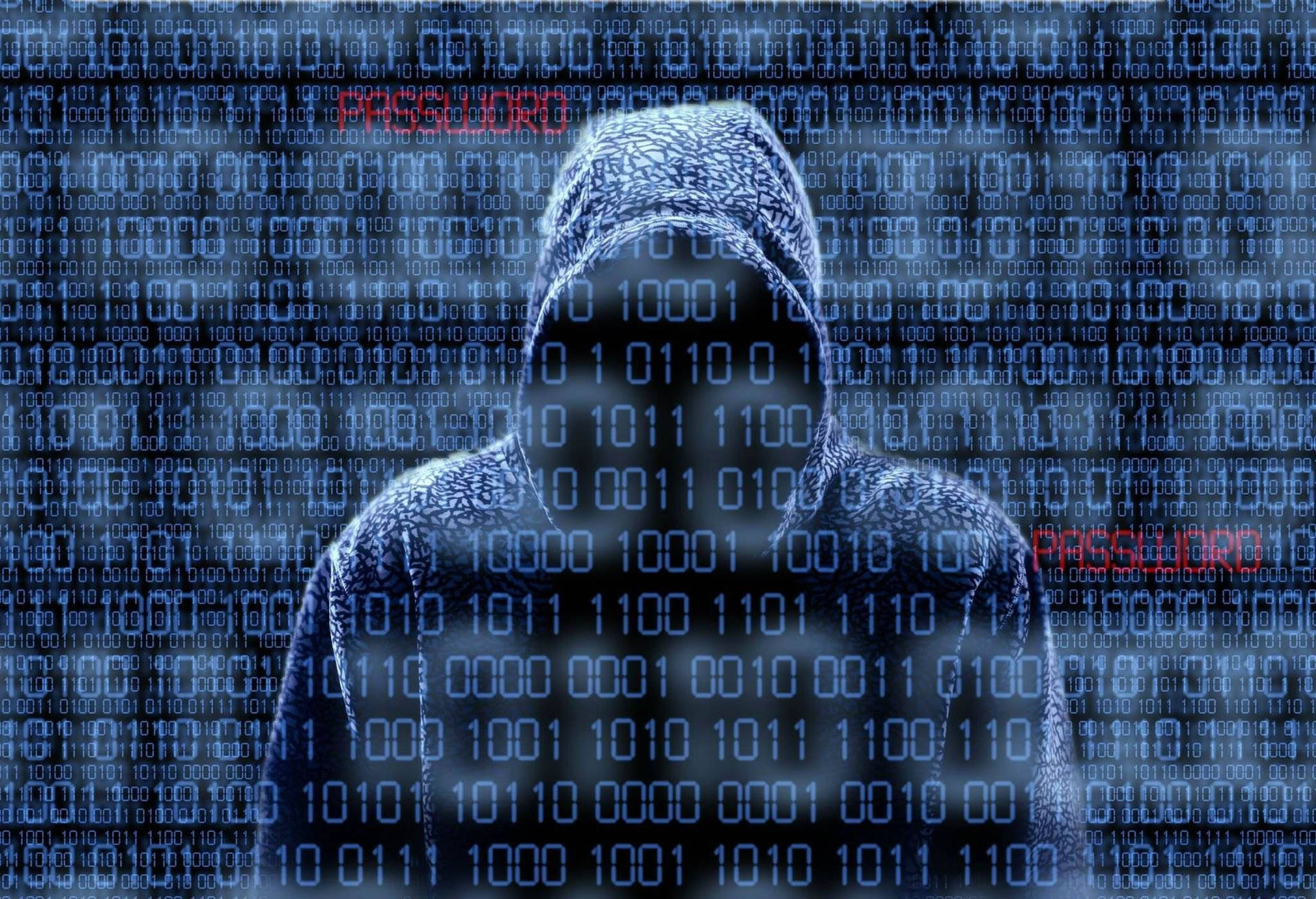 二進制代碼背景前的戴兜帽人物剪影。 — 黑客 壁紙
