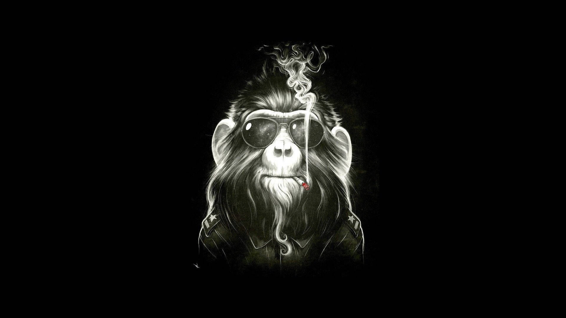 戴著太陽眼鏡的猴子抽煙，煙霧升起。