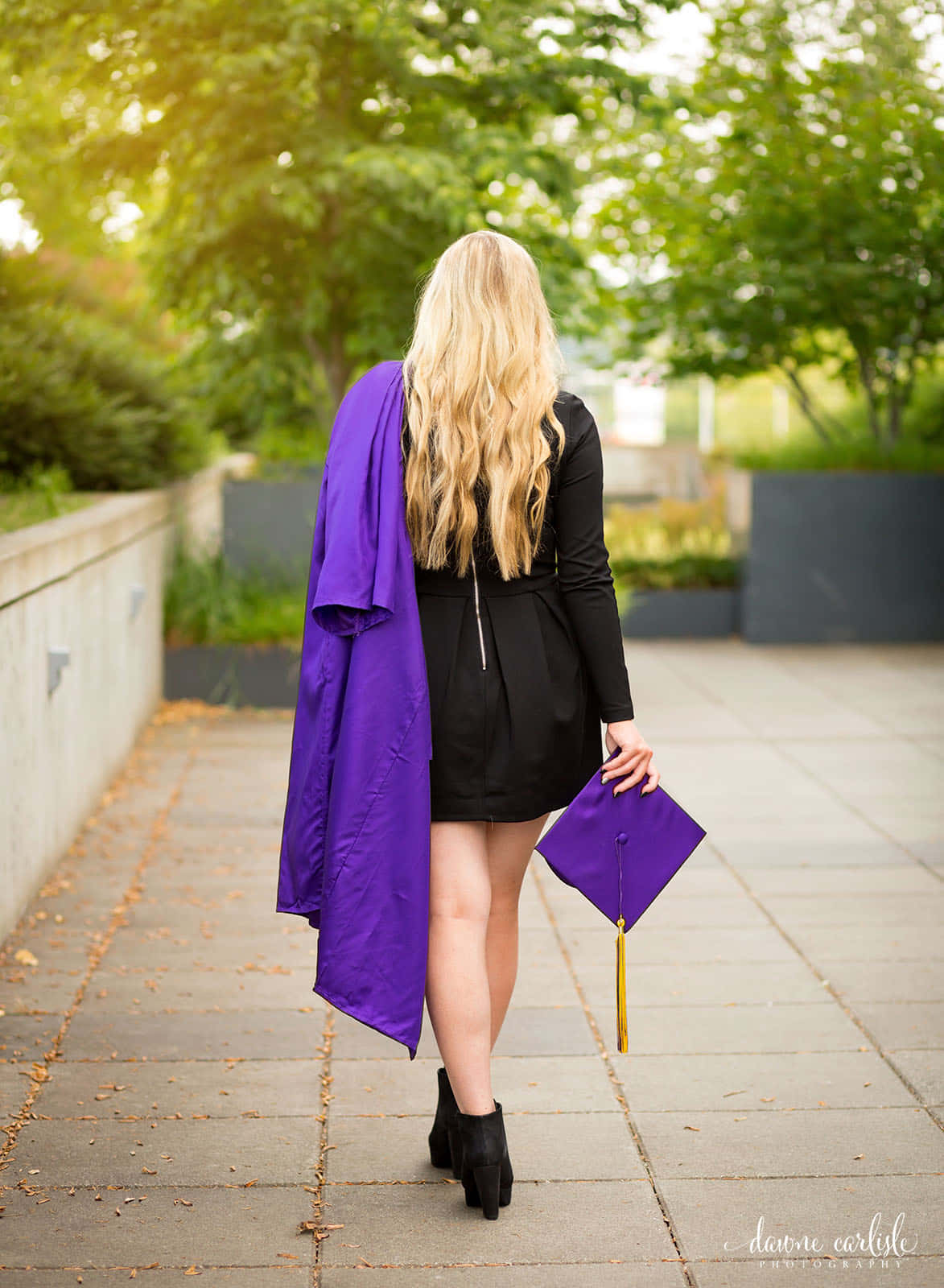戴紫色畢業帽與學士服的女孩圖 壁紙 — 一位金髮女子穿著紫色畢業袍，沿著一條兩旁有綠樹和落葉的石徑走開。