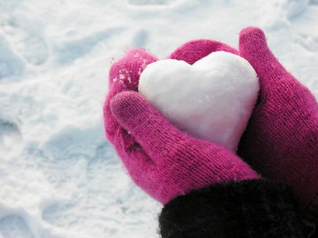 Mittens 桌布 壁紙 — 戴著粉紅色手套的雙手，在柔軟的雪景背景下捧著一個完美的雪心心。