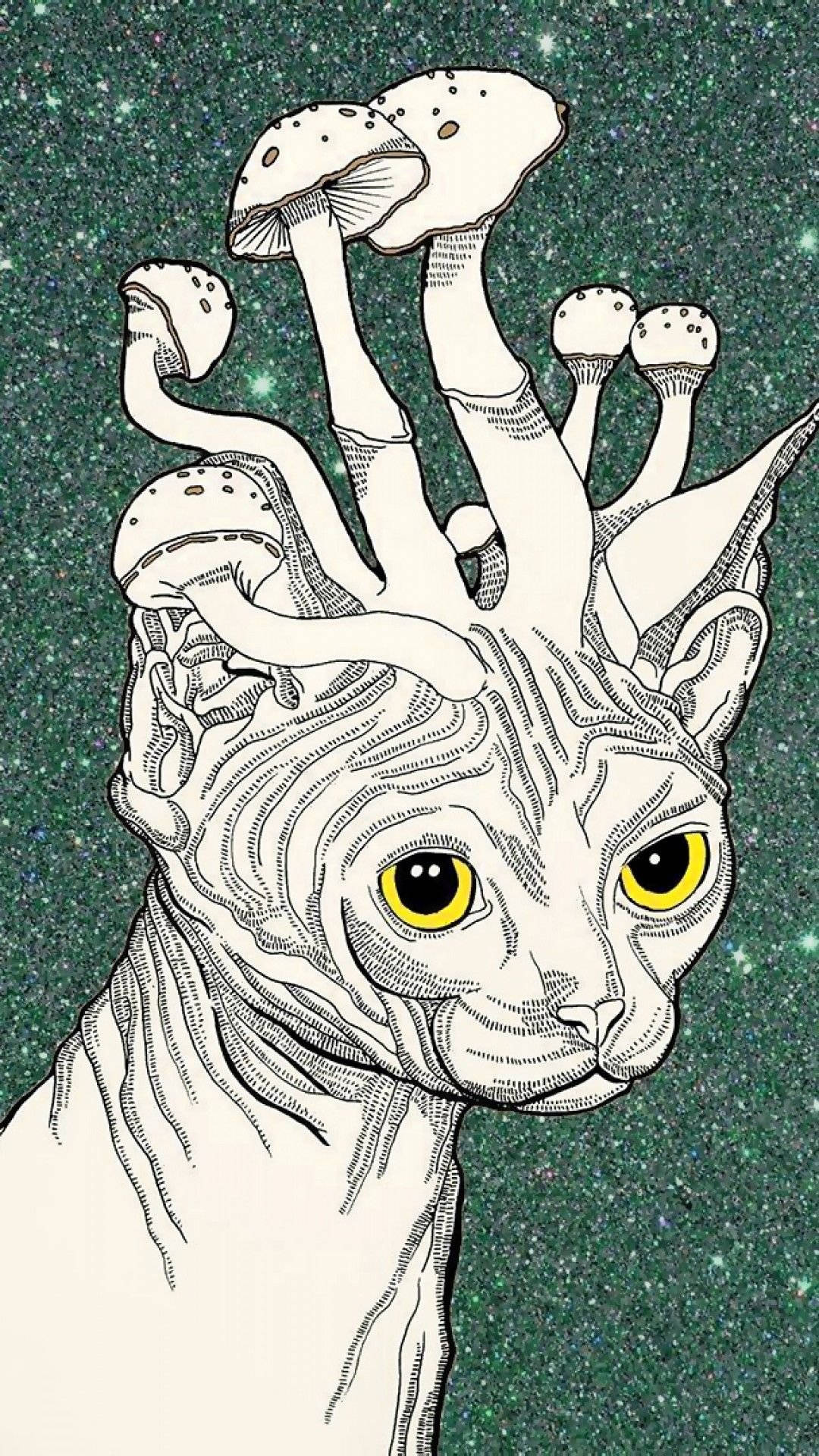 斯芬克斯貓頭頂蘑菇，背景星空綠色