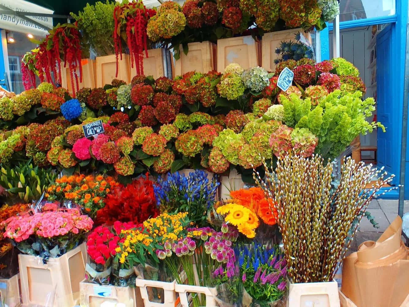 Flower Market 桌布 壁紙 — 戶外市場中色彩繽紛的花卉展示，繡球花、非洲菊和柳枝在遮陽篷下的板條箱中排列。