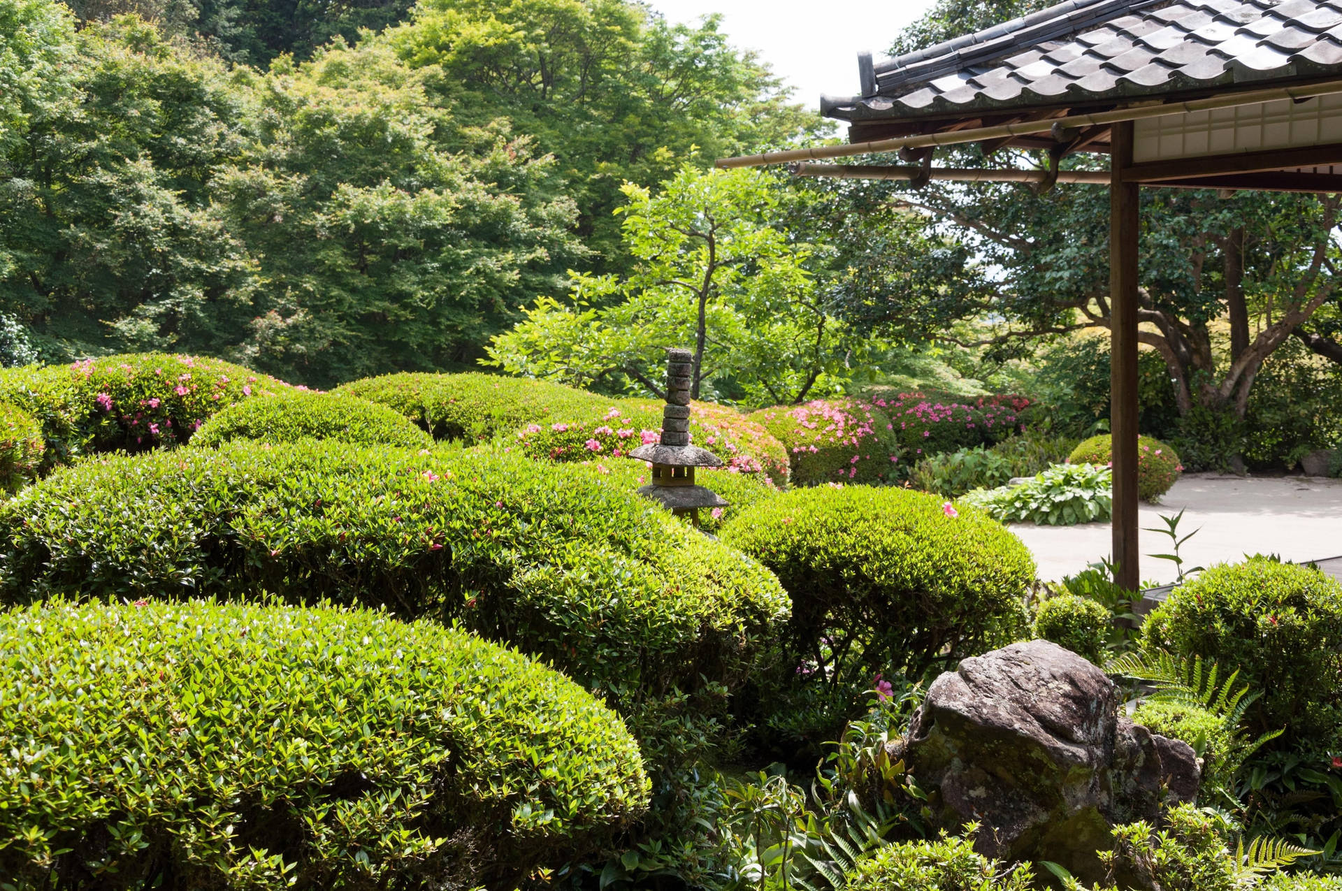 日本花園，有修剪過的灌木、石燈籠和木亭