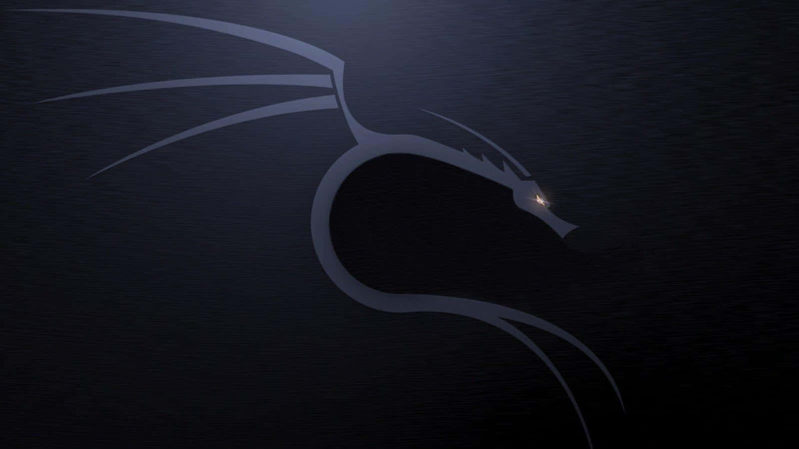 所有駭客的理想背景 — Kali Linux 壁紙 — 一條光滑的銀色龍剪影在黑暗紋理背景上閃耀著一隻明亮的眼睛。