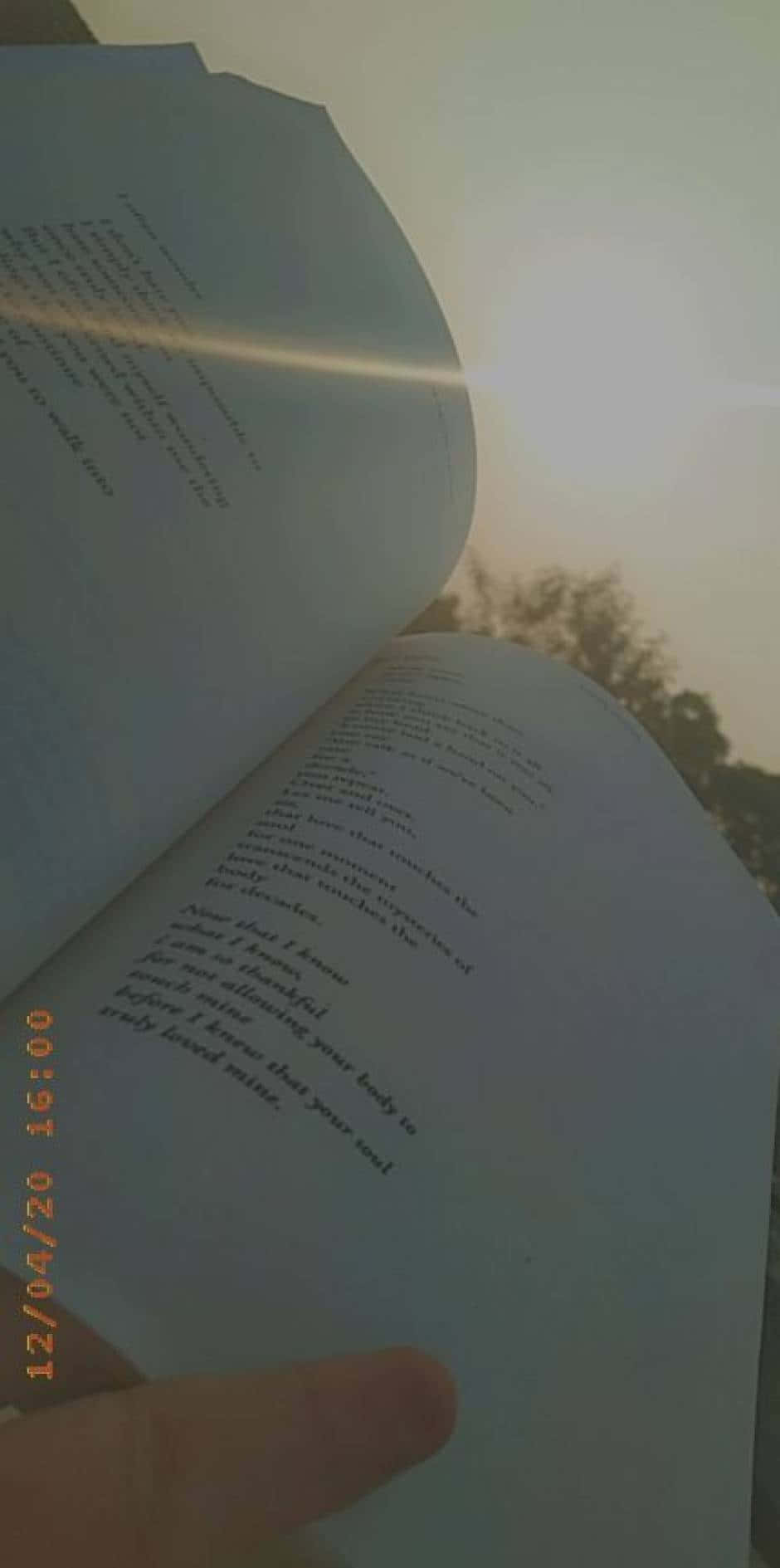 「手執一本書，讓想像力盡情奔放。」 壁紙