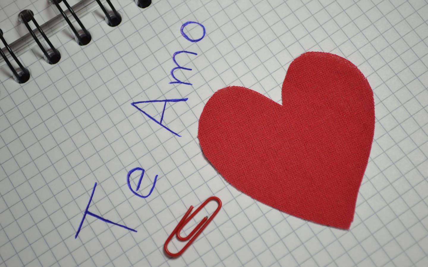 紅色布料心形和藍色墨水寫的「Te Amo」在方格紙上，附有一個紅色迴紋針。