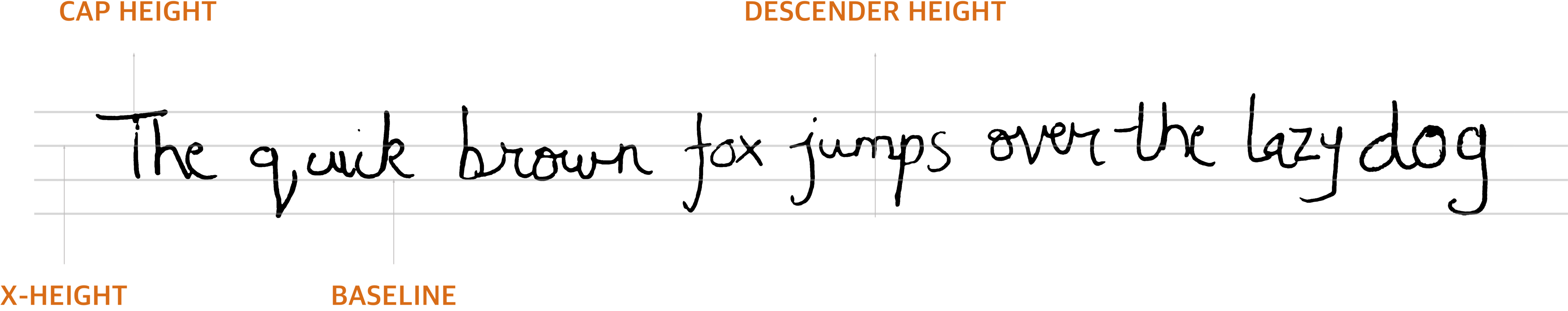 手寫體解剖示範圖 壁紙 — 包含全字母句 'The quick brown fox jumps over the lazy dog' 的手寫文字及字體註釋。