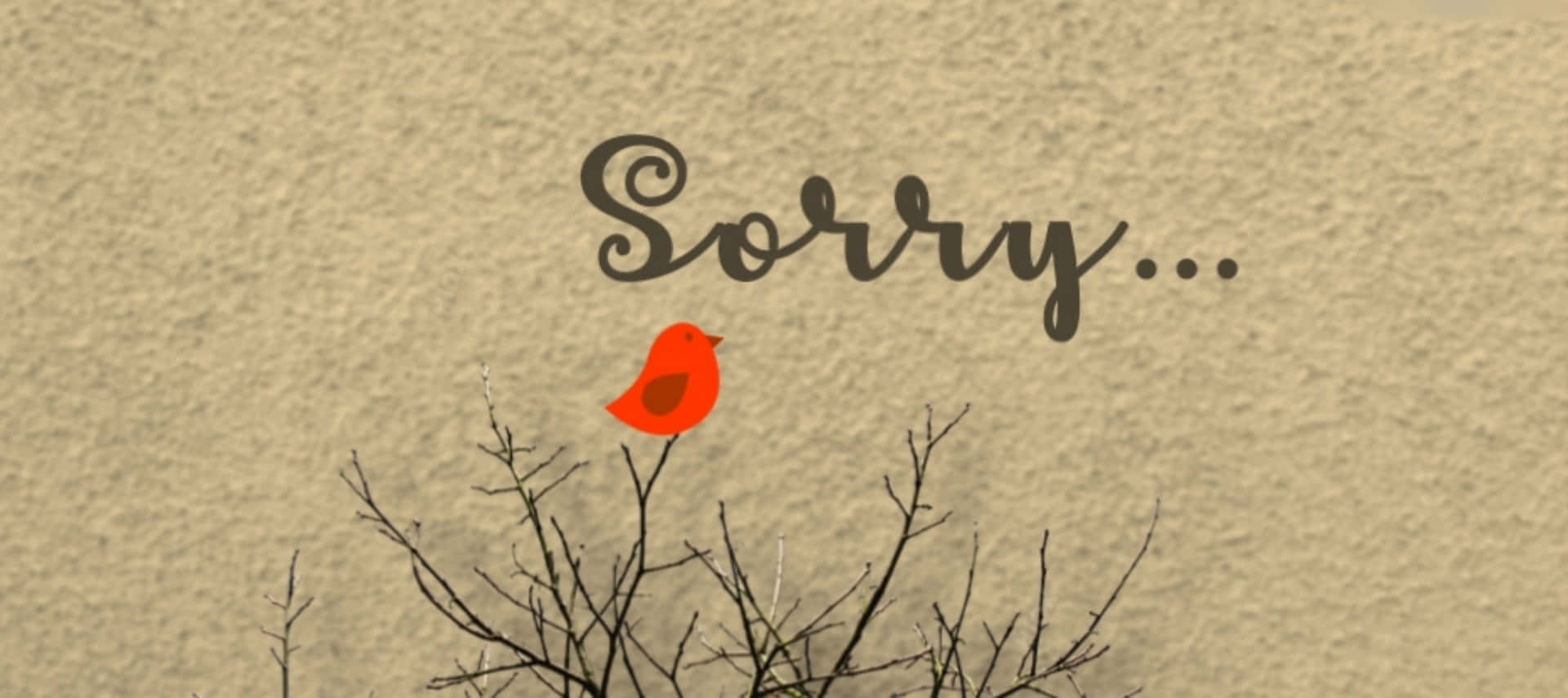 一隻橙色雀仔喺光禿禿嘅樹枝上，上面有「Sorry...」字樣。