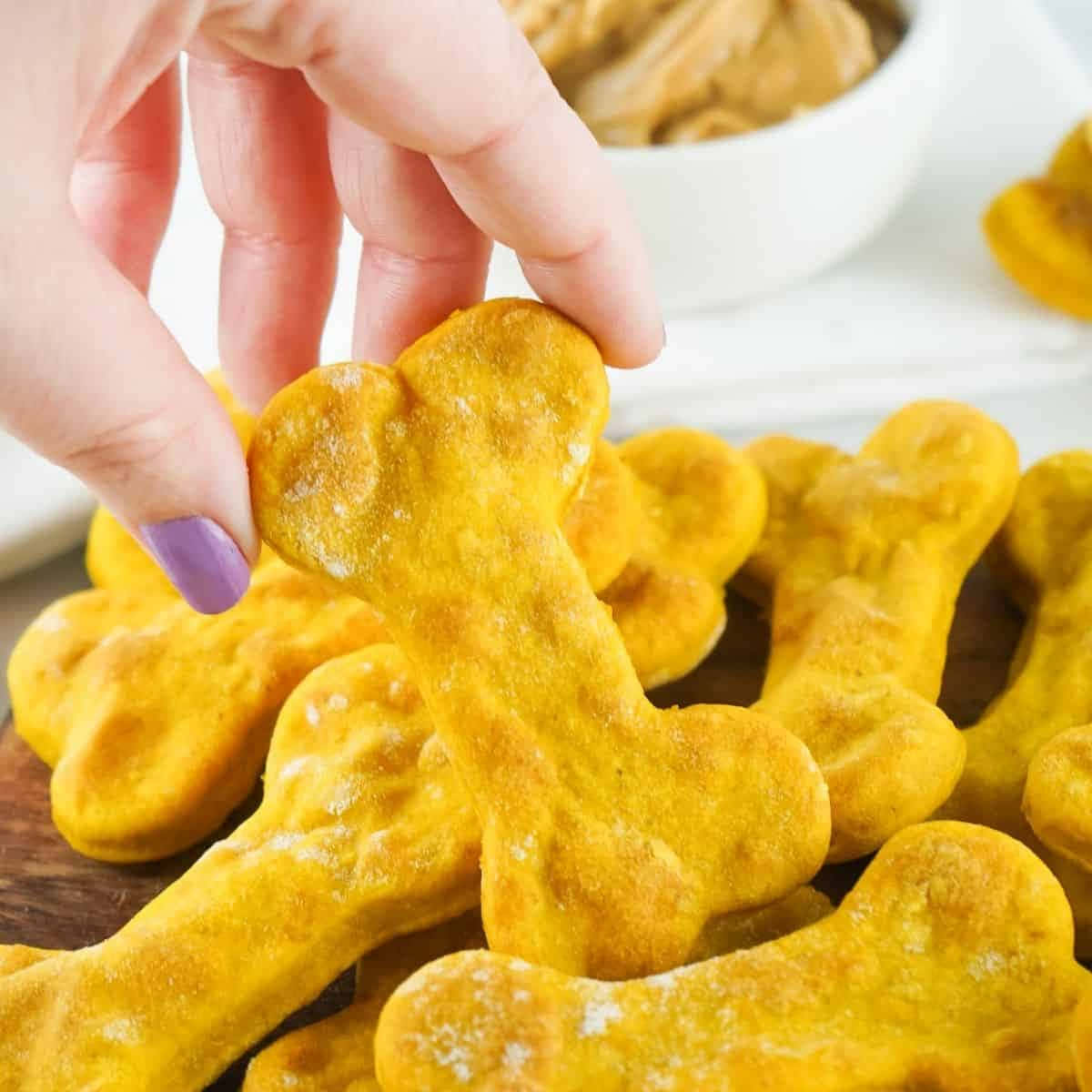 手從一堆中撿起一個金色骨形狗零食。