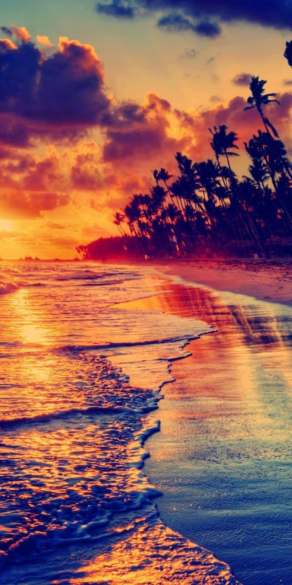 熱帶海灘上的夕陽，有棕櫚樹和海浪