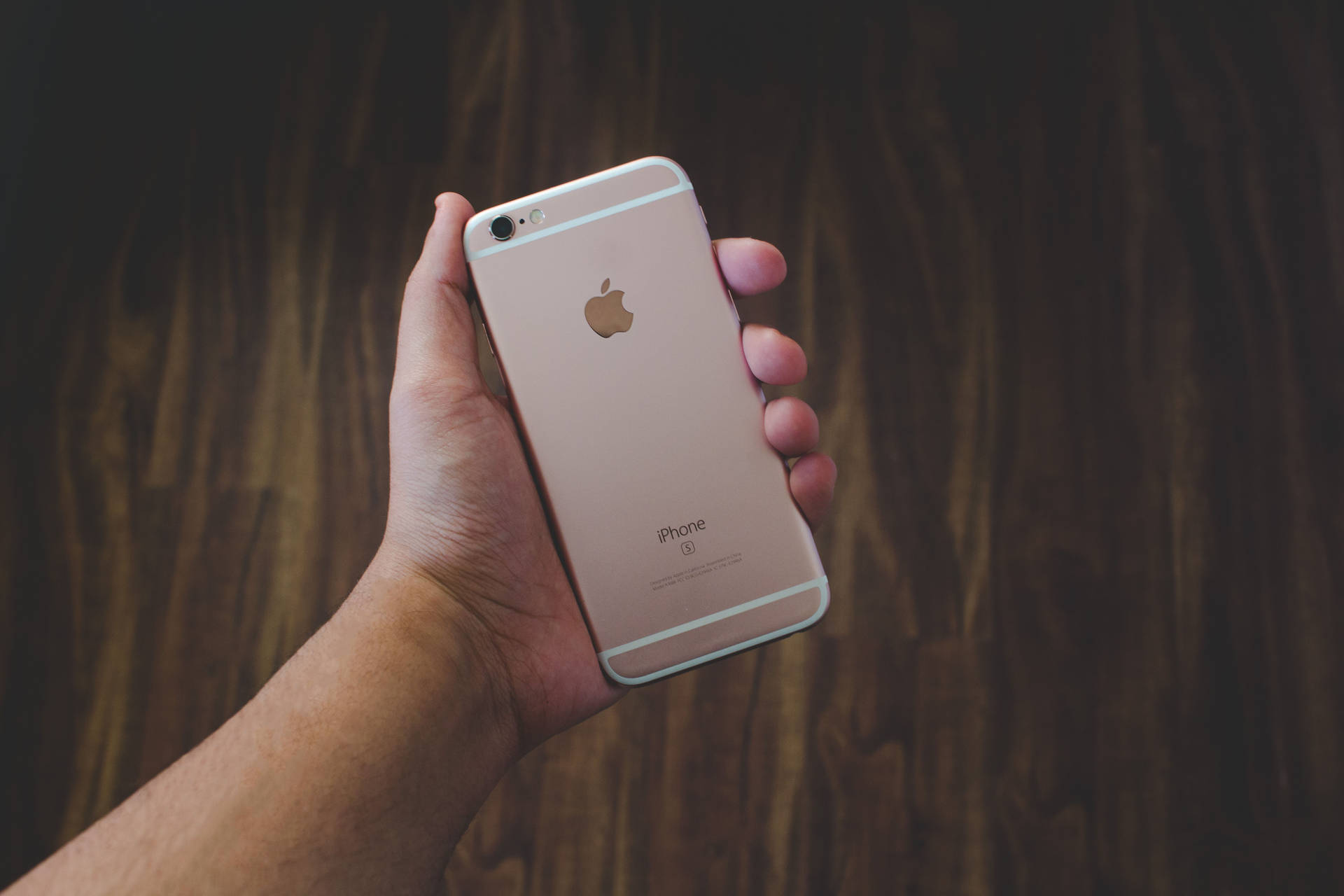 手拿玫瑰金iPhone，深色木材背景