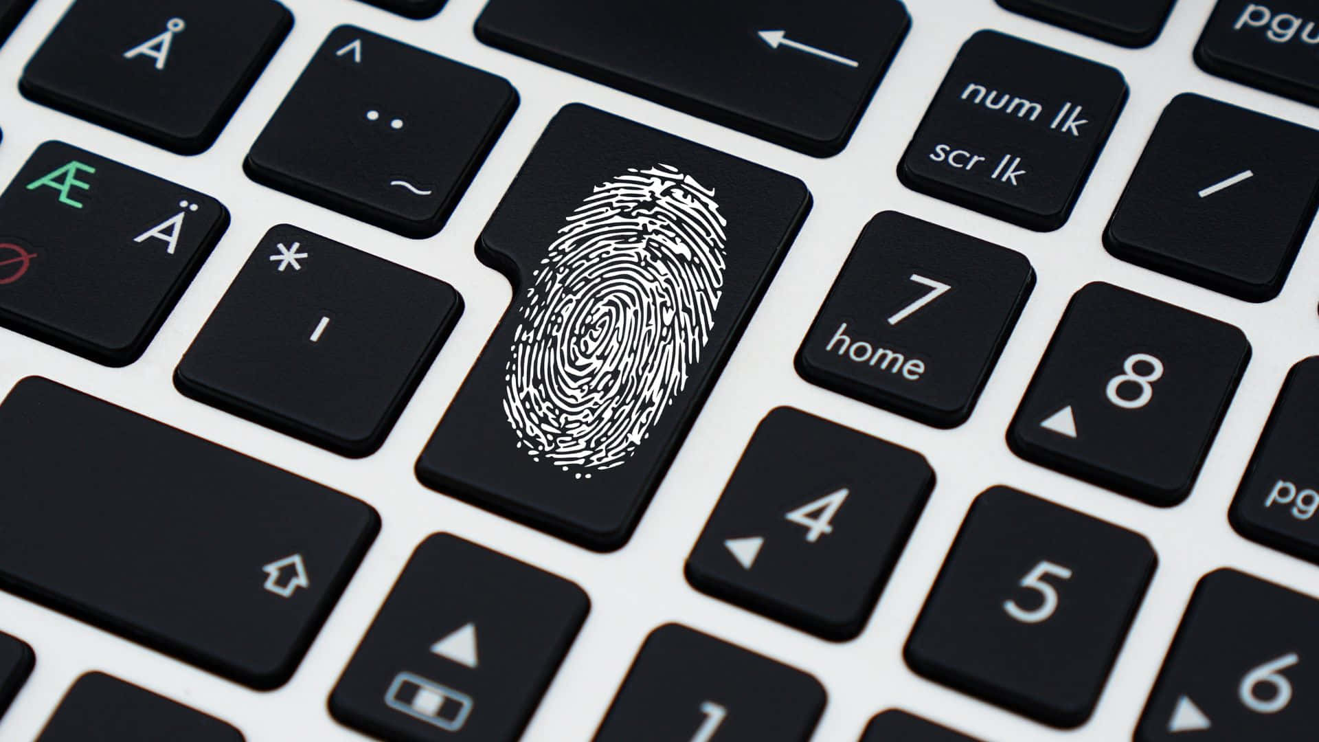 Fingerprint 桌布 壁紙 — 手提電腦鍵盤特寫，指紋掃描器按鍵以白色脊線在黑色按鍵中突出顯示。