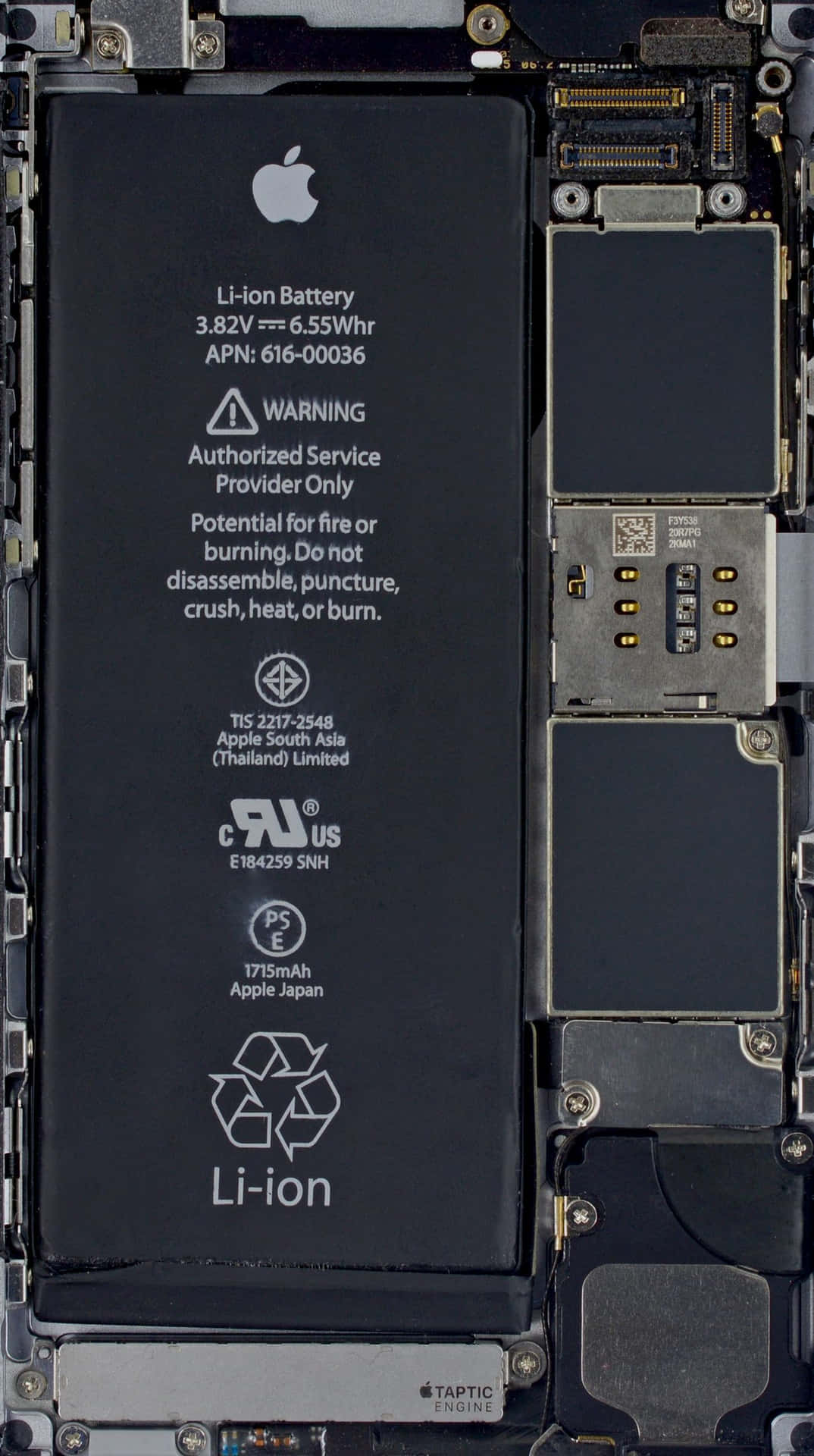 iPhone 內部，顯示電池和電路