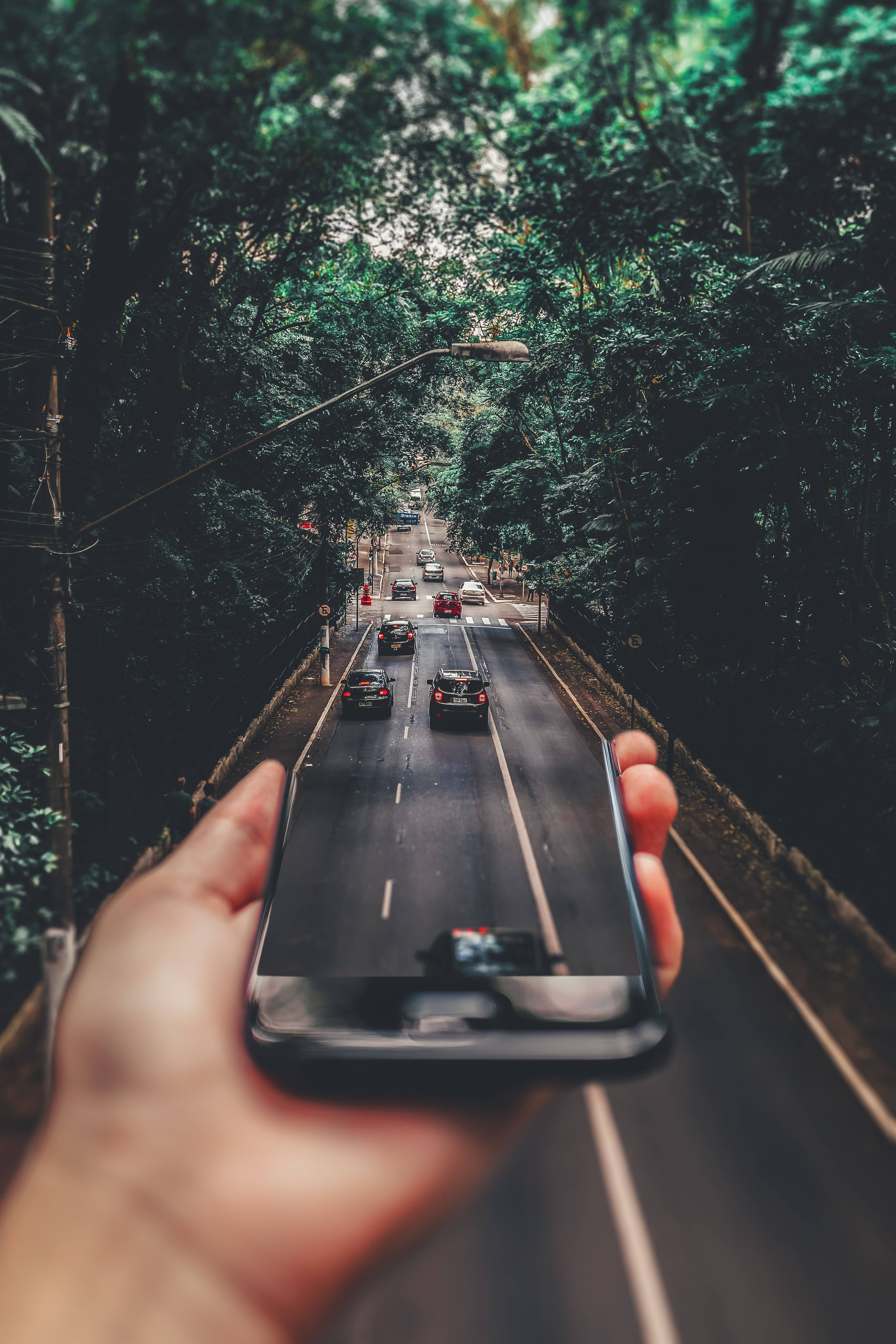 手機壁紙：汽車在路上 壁紙 — 一隻手拿著智能手機，拍攝一條蜿蜒穿過茂密綠色森林的道路，前方有汽車行駛。
