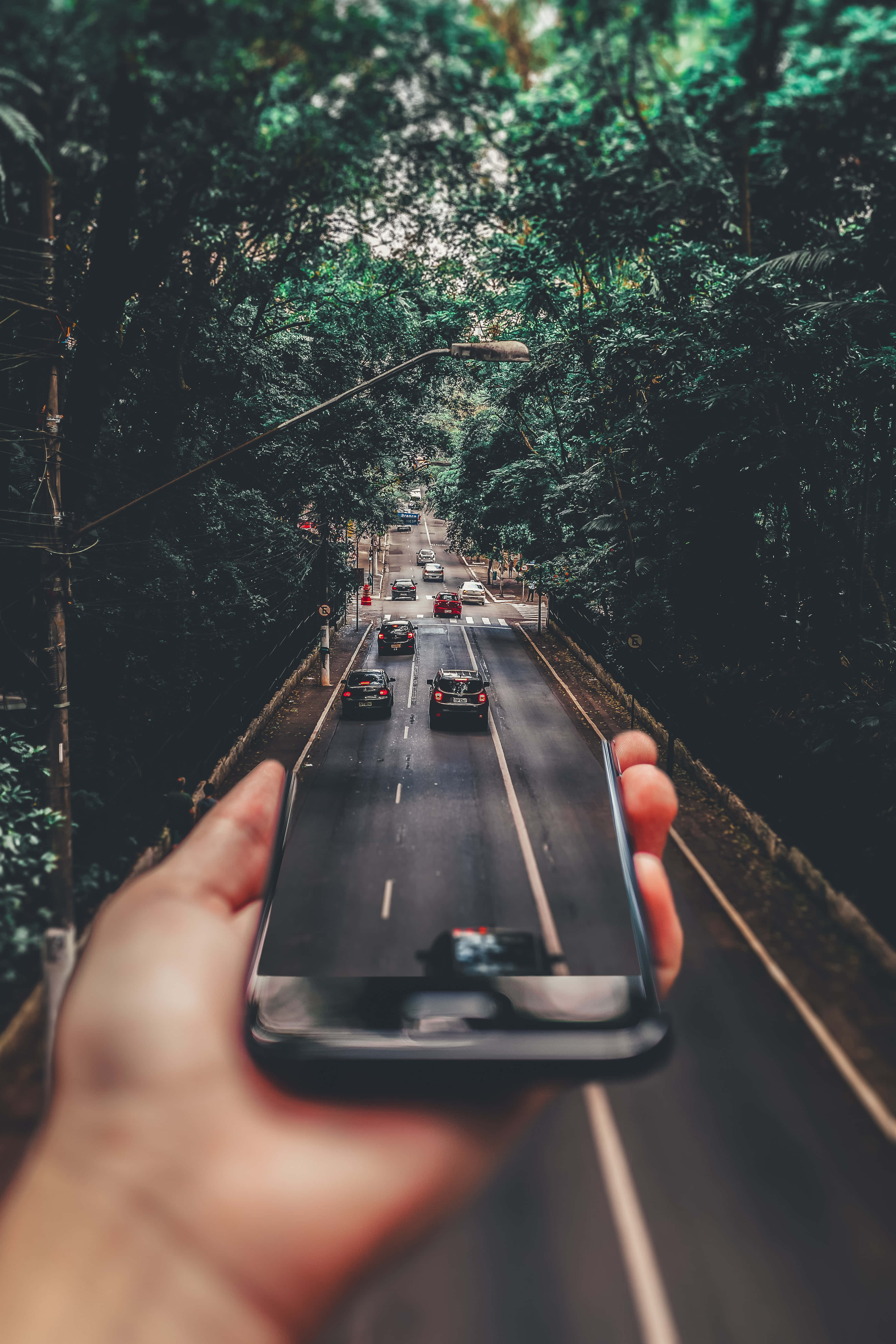 手機延伸至道路的數位藝術背景 壁紙 — 一隻手拿著智能手機，捕捉一條綠樹成蔭的城市道路，汽車在斑駁的陽光下行駛。