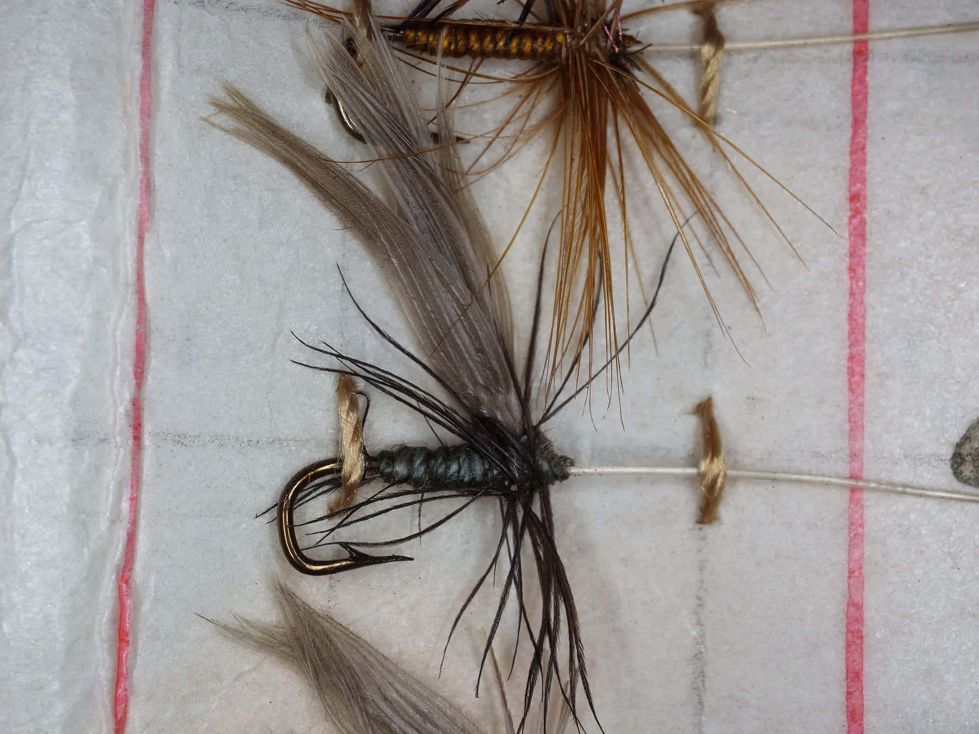Fishing Bait 桌布 壁紙 — 手綁飛蠅釣魚假餌的特寫，帶有羽毛翅膀和魚鉤，固定在帶線條的紙張背景上。