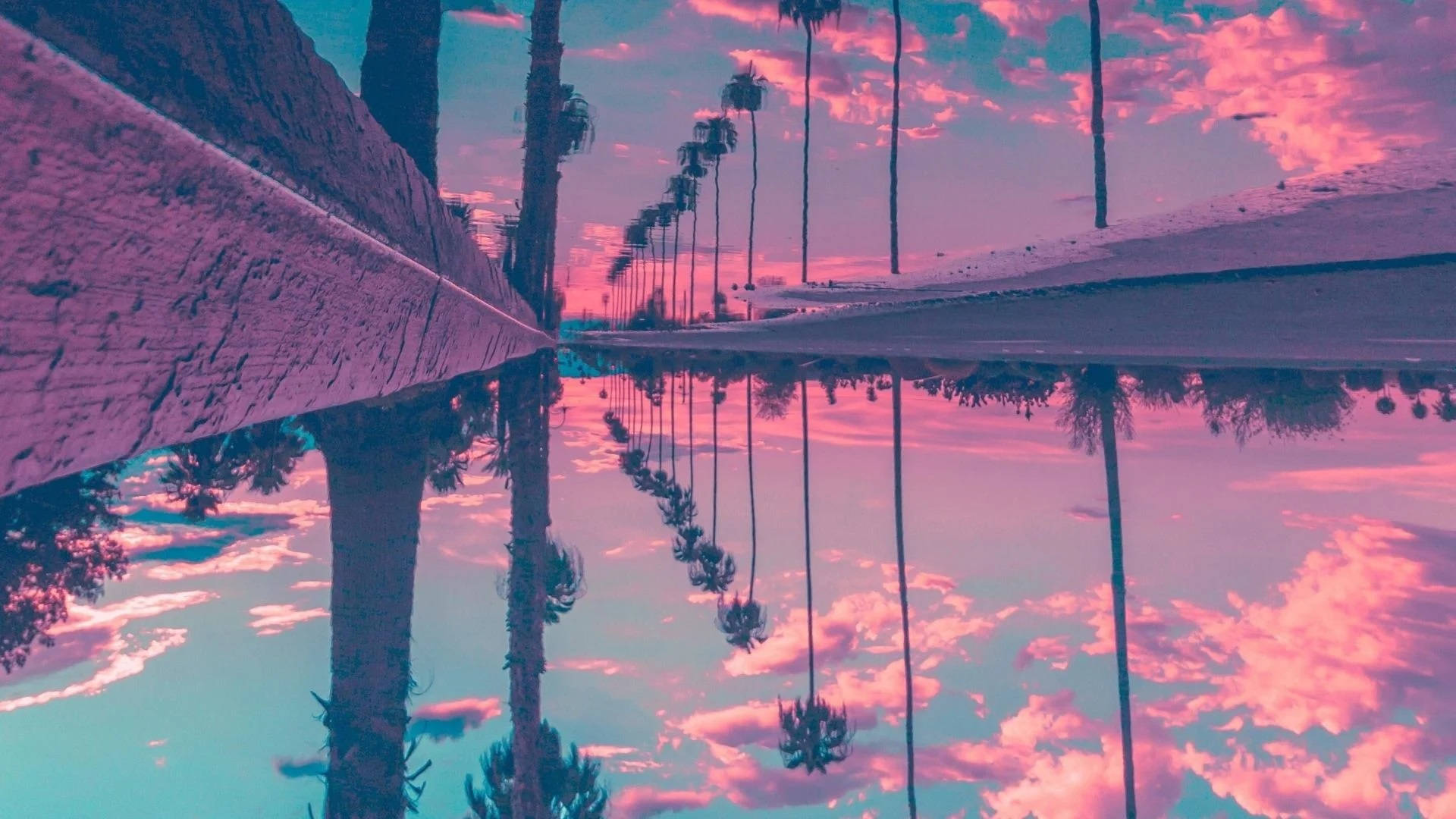 打造你的桌面綠洲 壁紙 — 一條混凝土小徑上，棕櫚樹下的水坑中倒映著超現實的粉紅與藍綠色日落。