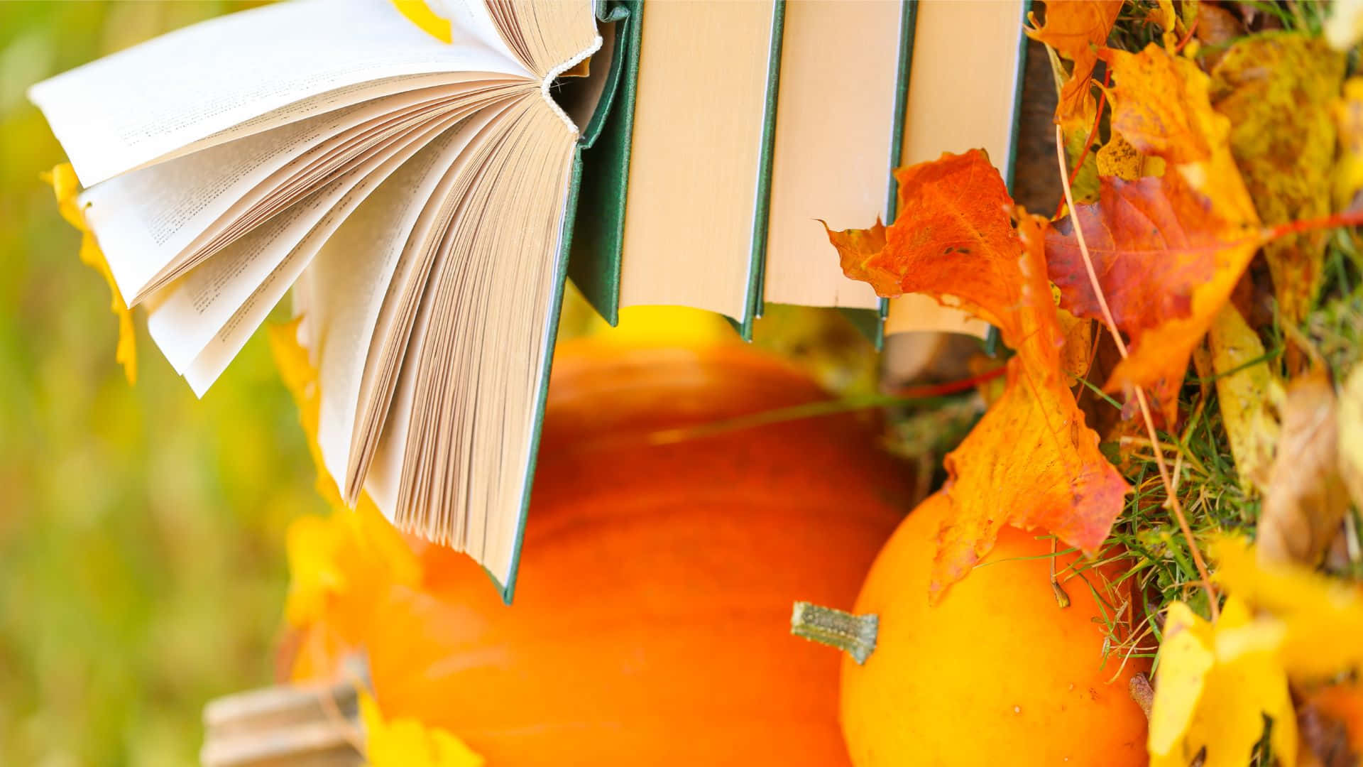Halloween Books 桌布 壁紙 — 打開的書本放在南瓜和秋葉上，營造出溫暖的季節性靜物畫面。